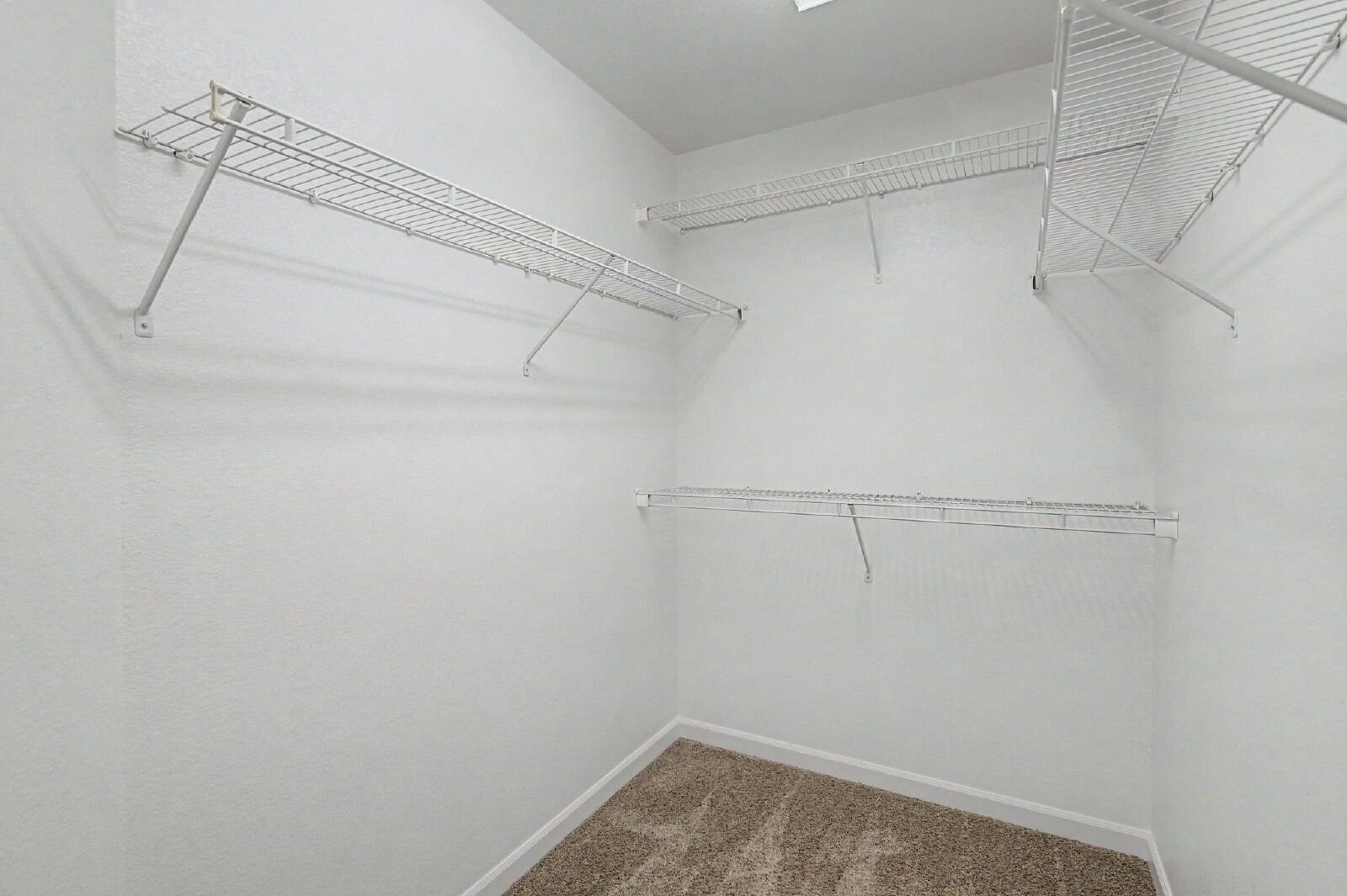 Gallery Image 19