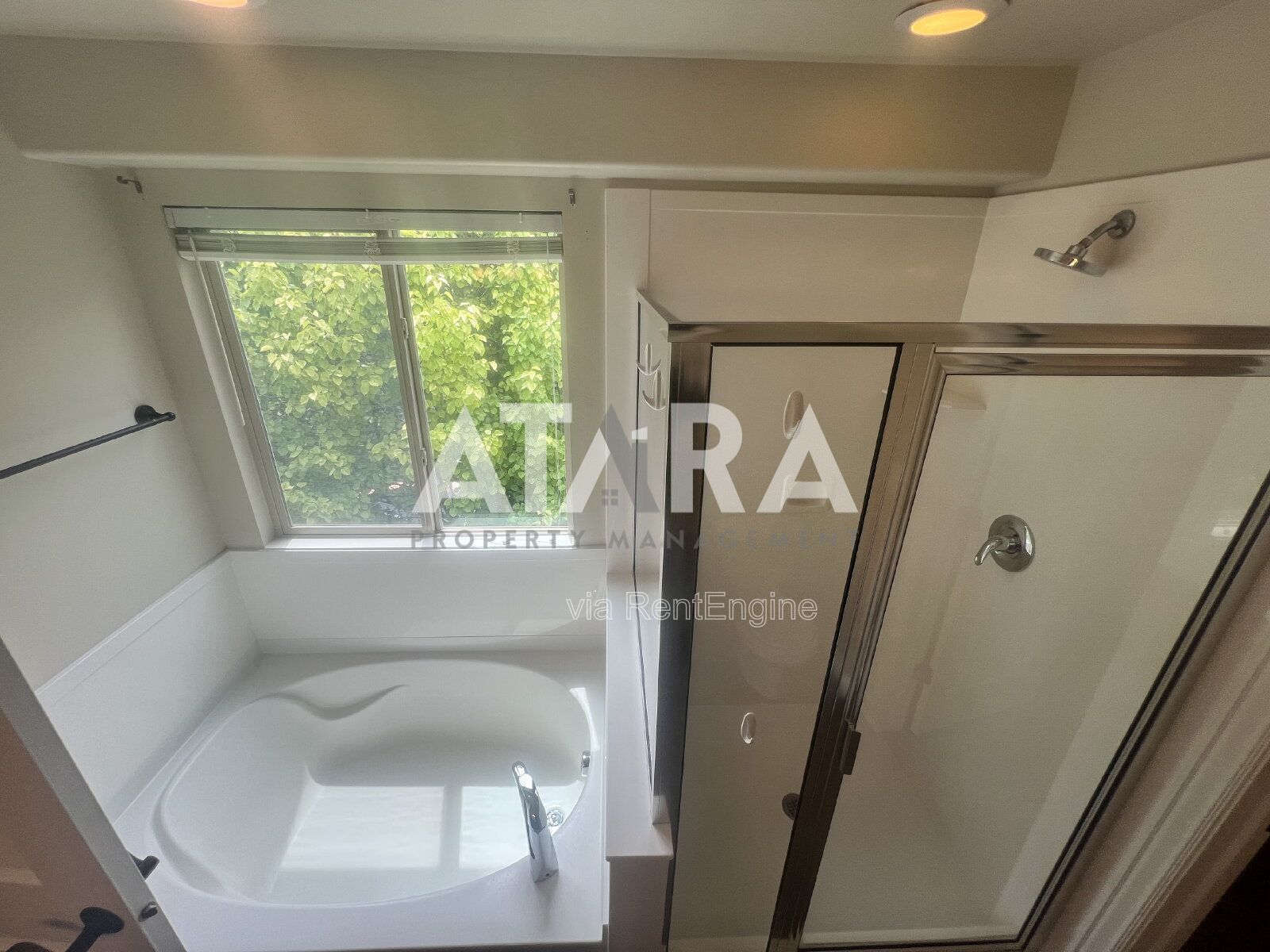 Gallery Image 42