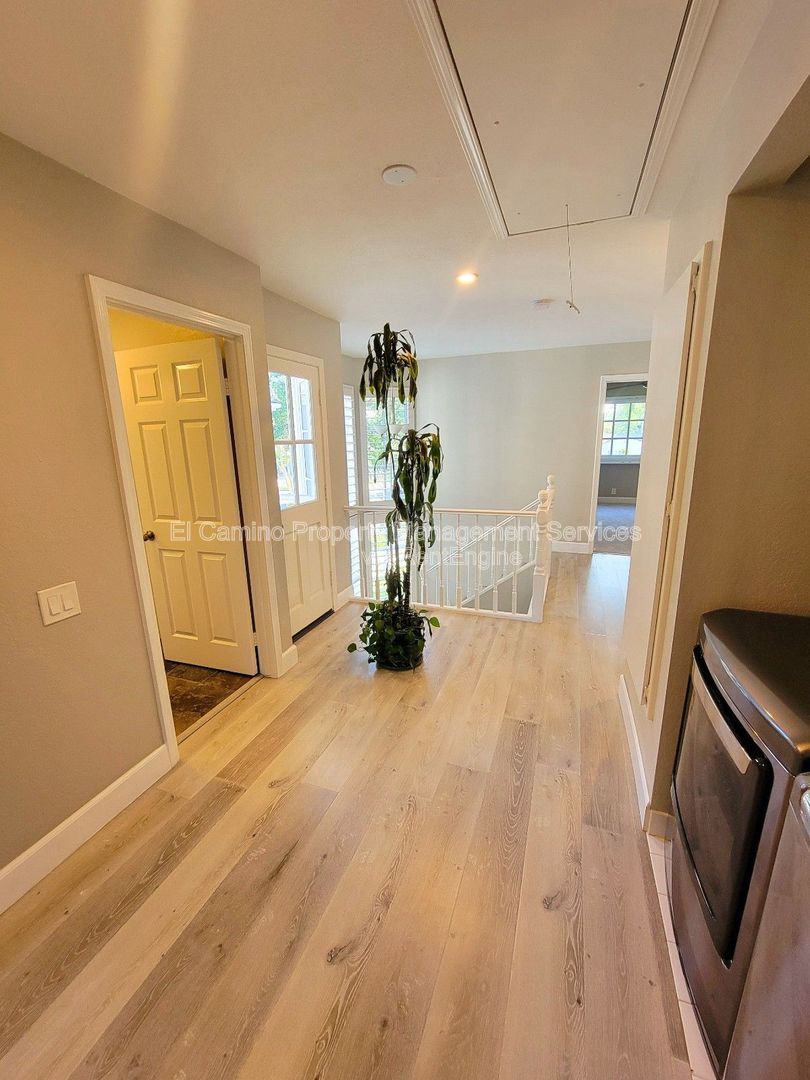 Gallery Image 36