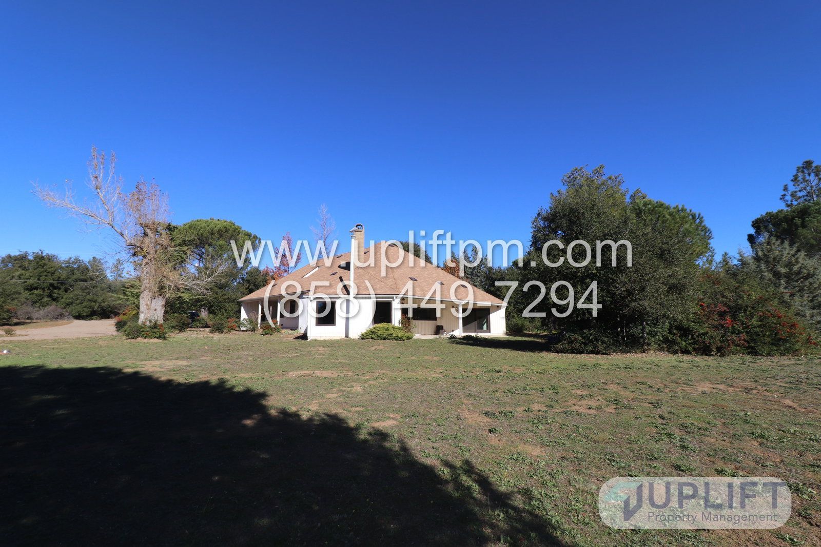 Gallery Image 17