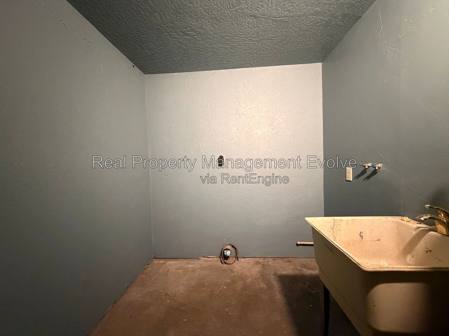 Gallery Image 19