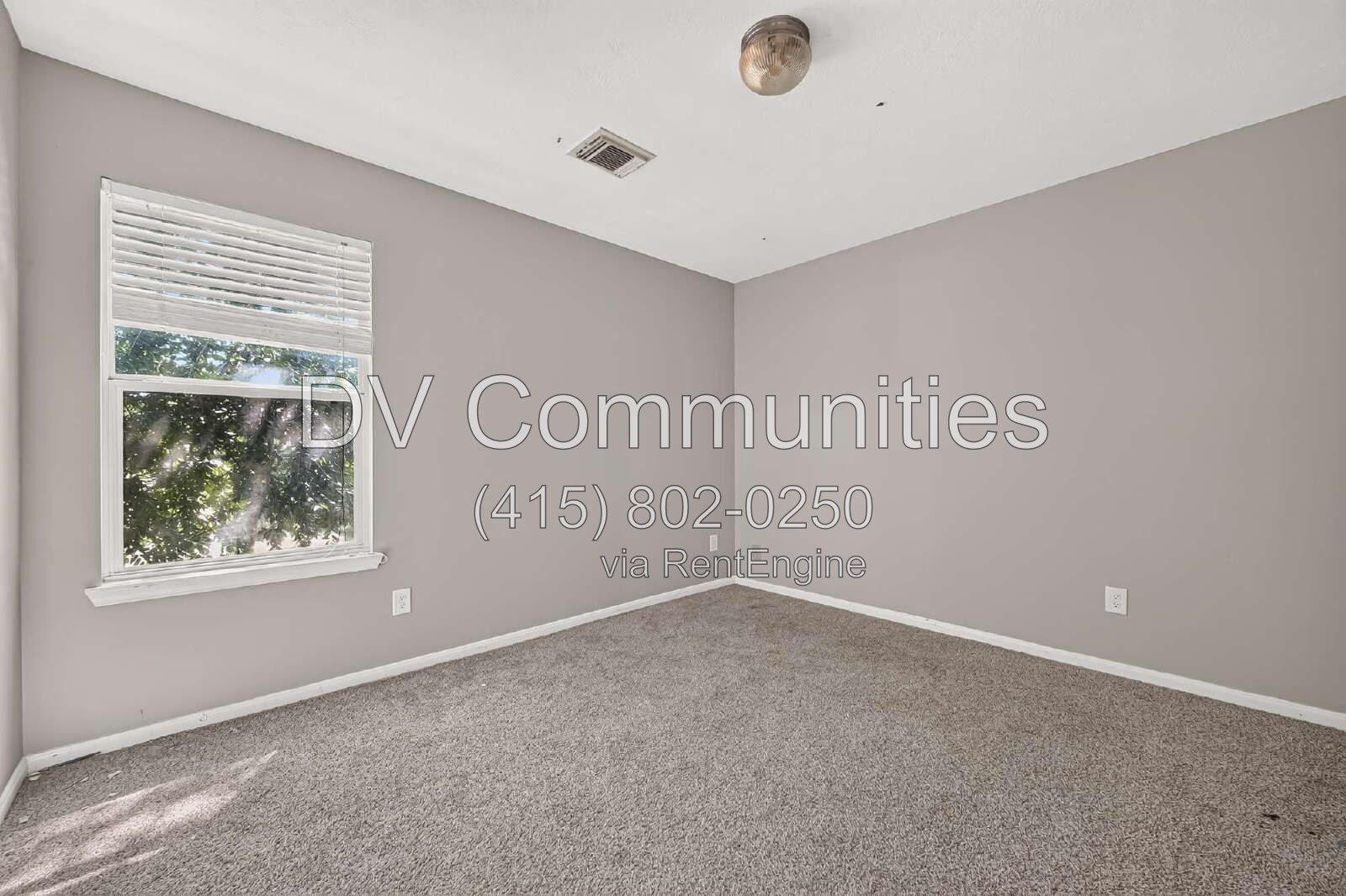Gallery Image 37
