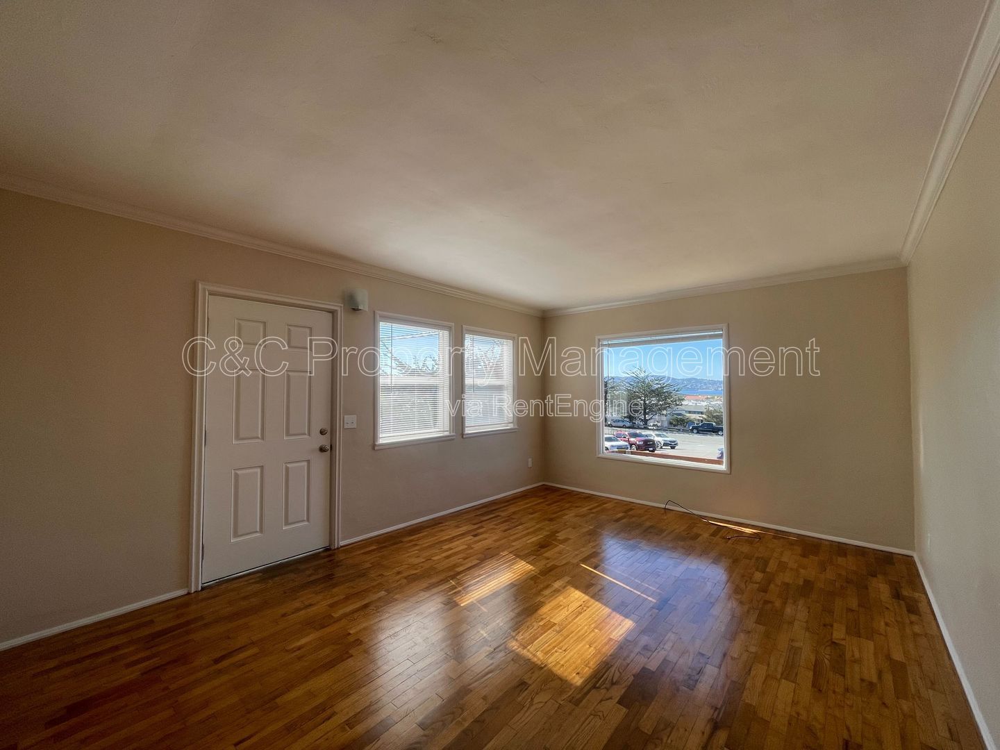 Gallery Image 11