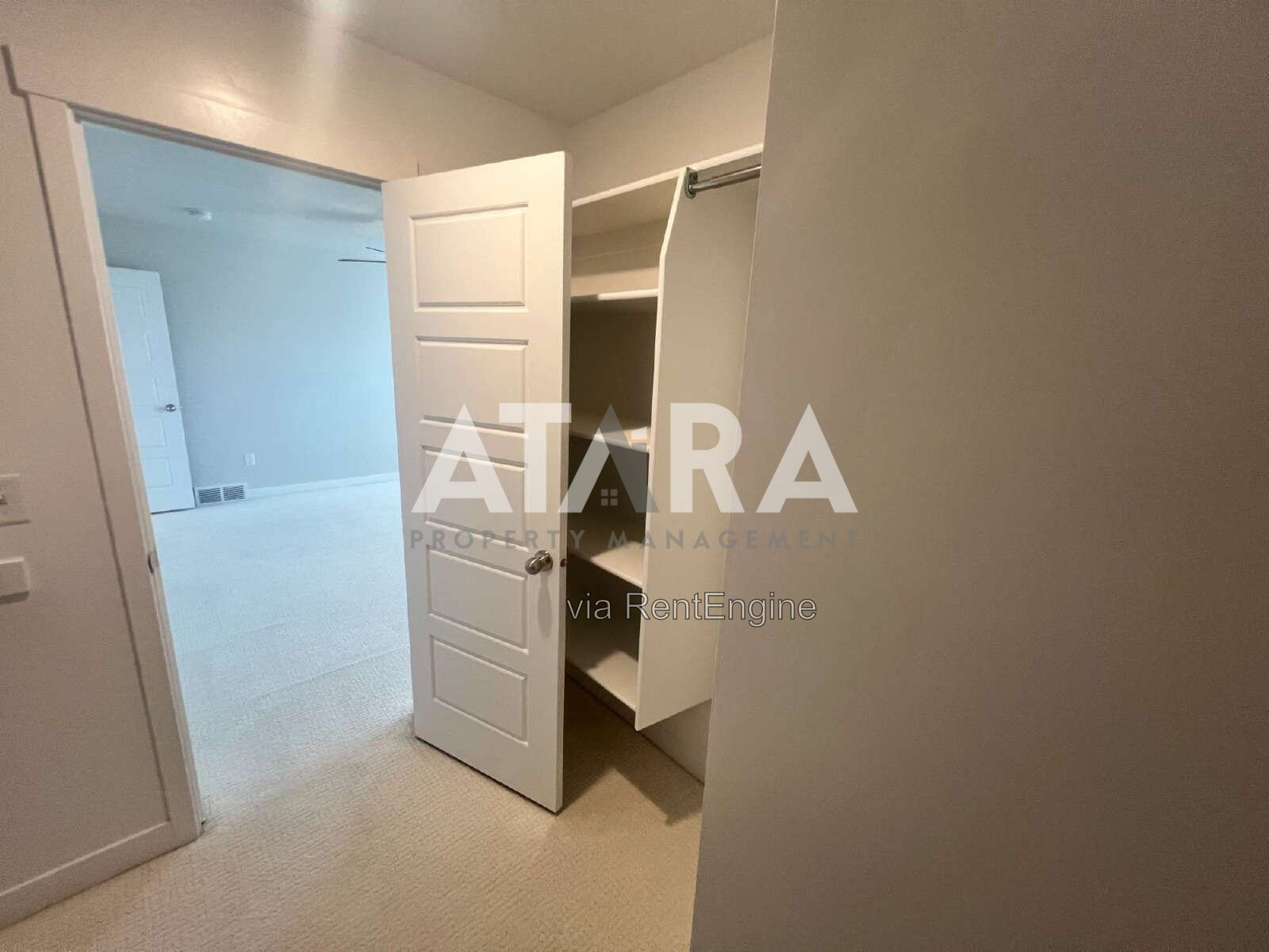 Gallery Image 42