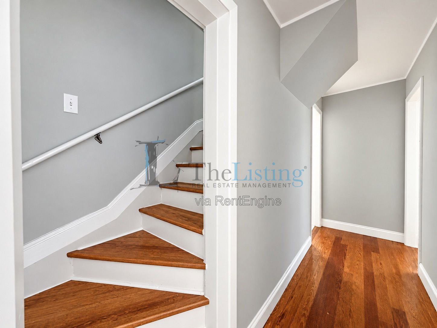 Gallery Image 19