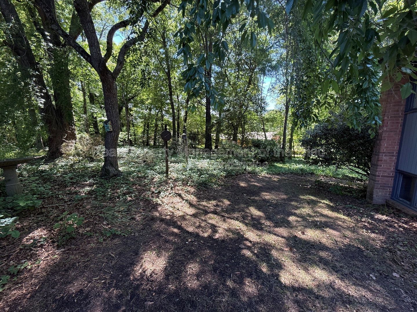 Gallery Image 17