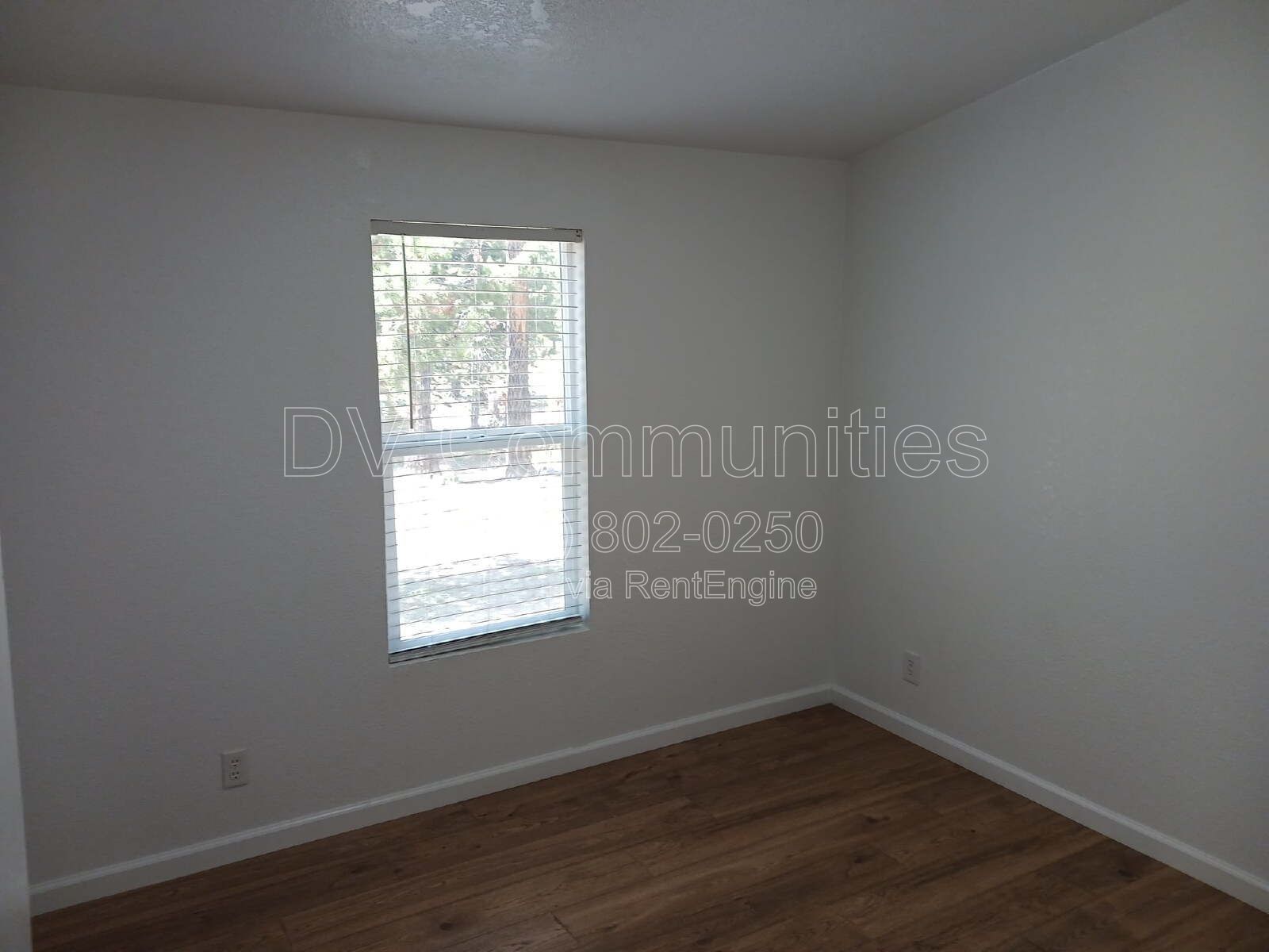 Gallery Image 19