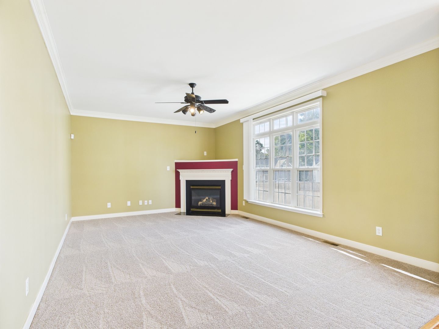 Gallery Image 16