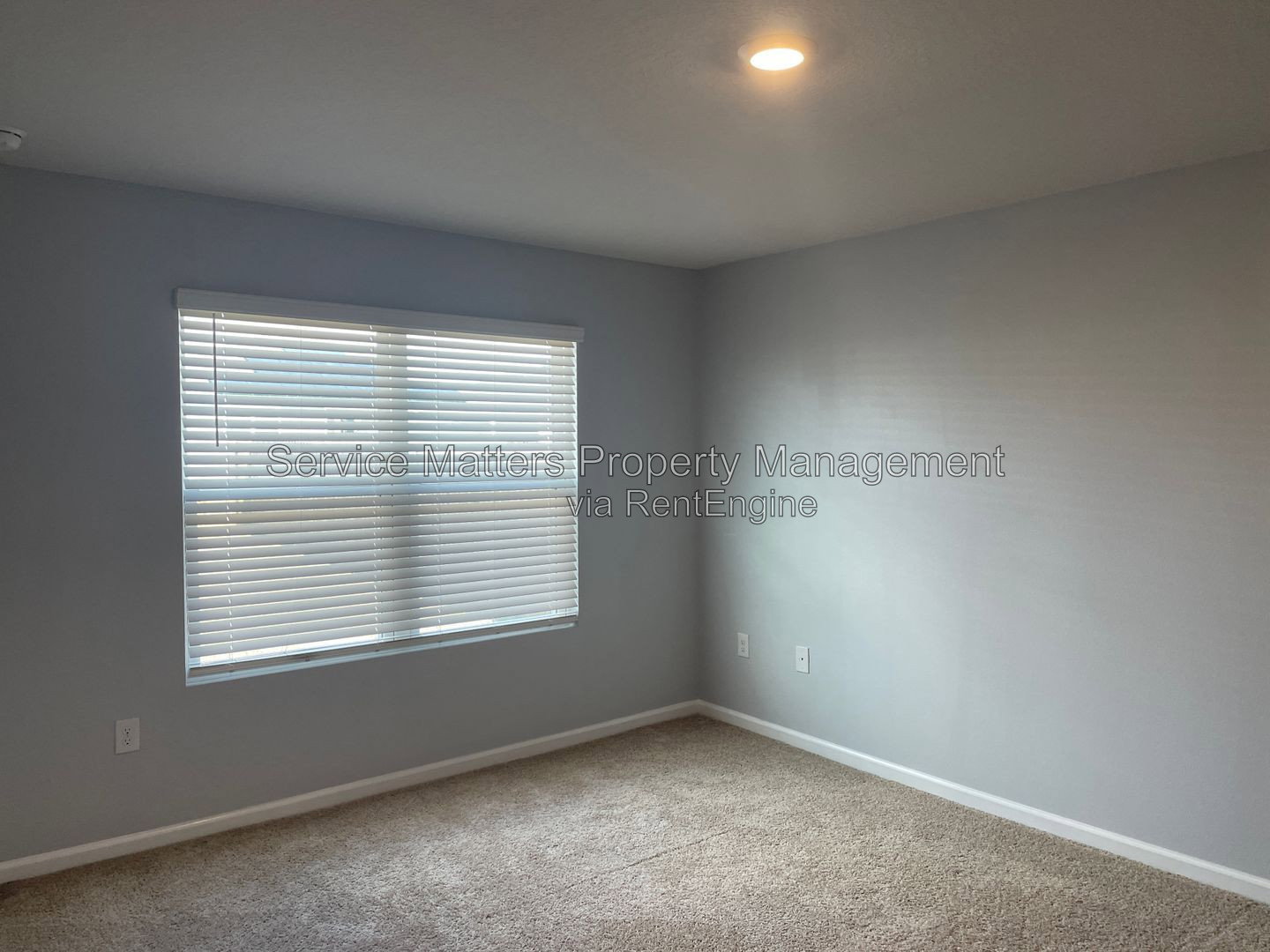 Gallery Image 19