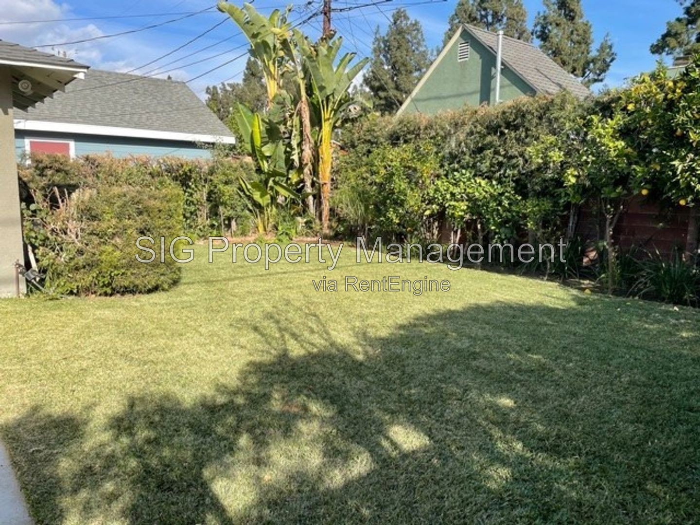 Gallery Image 18