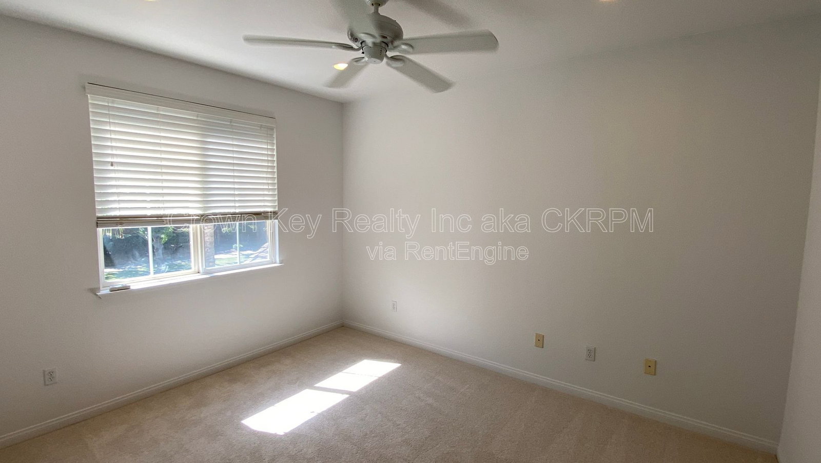 Gallery Image 25