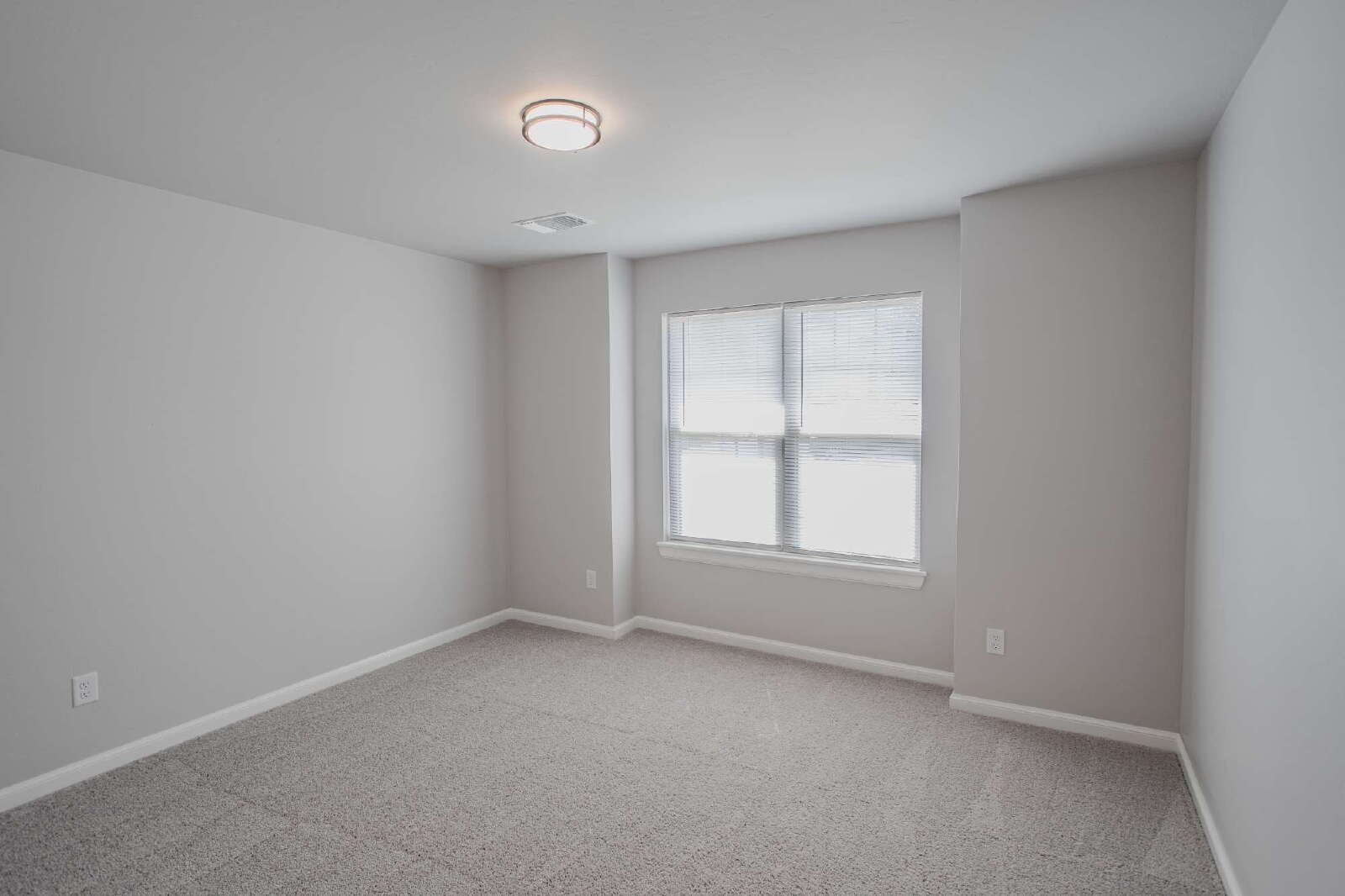 Gallery Image 19