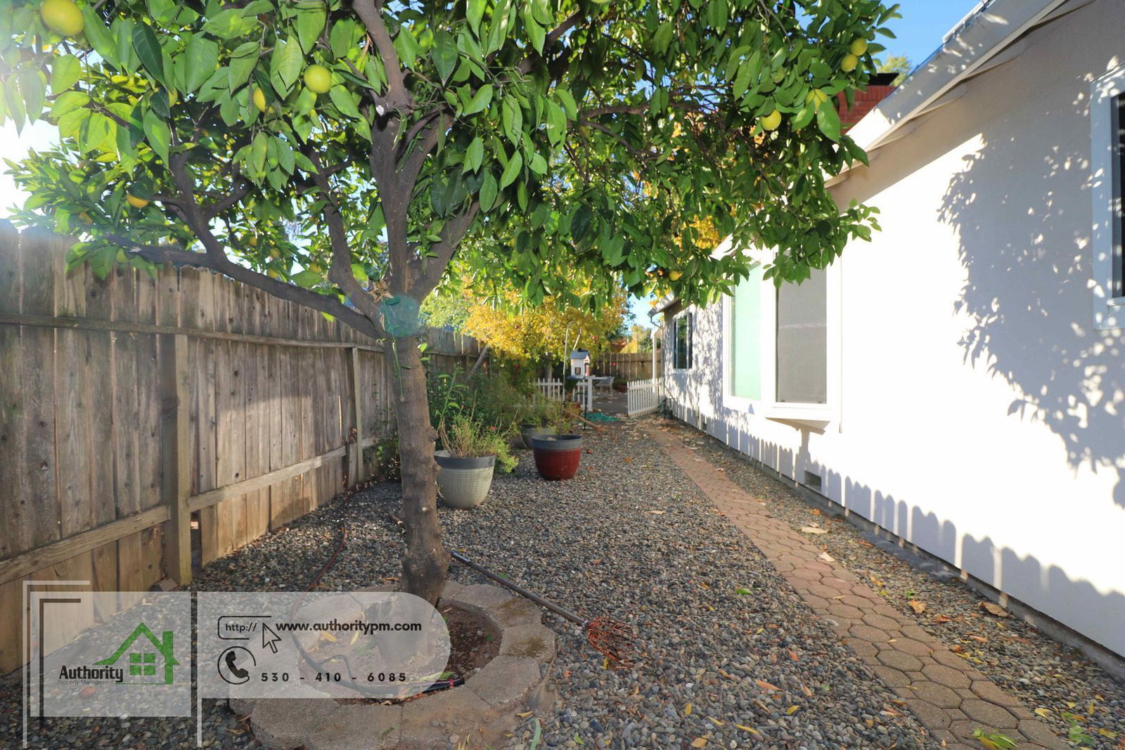 Gallery Image 37