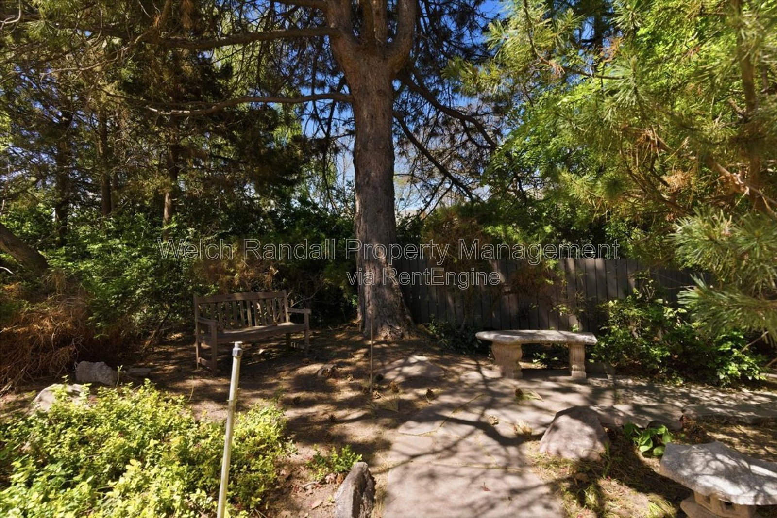Gallery Image 38