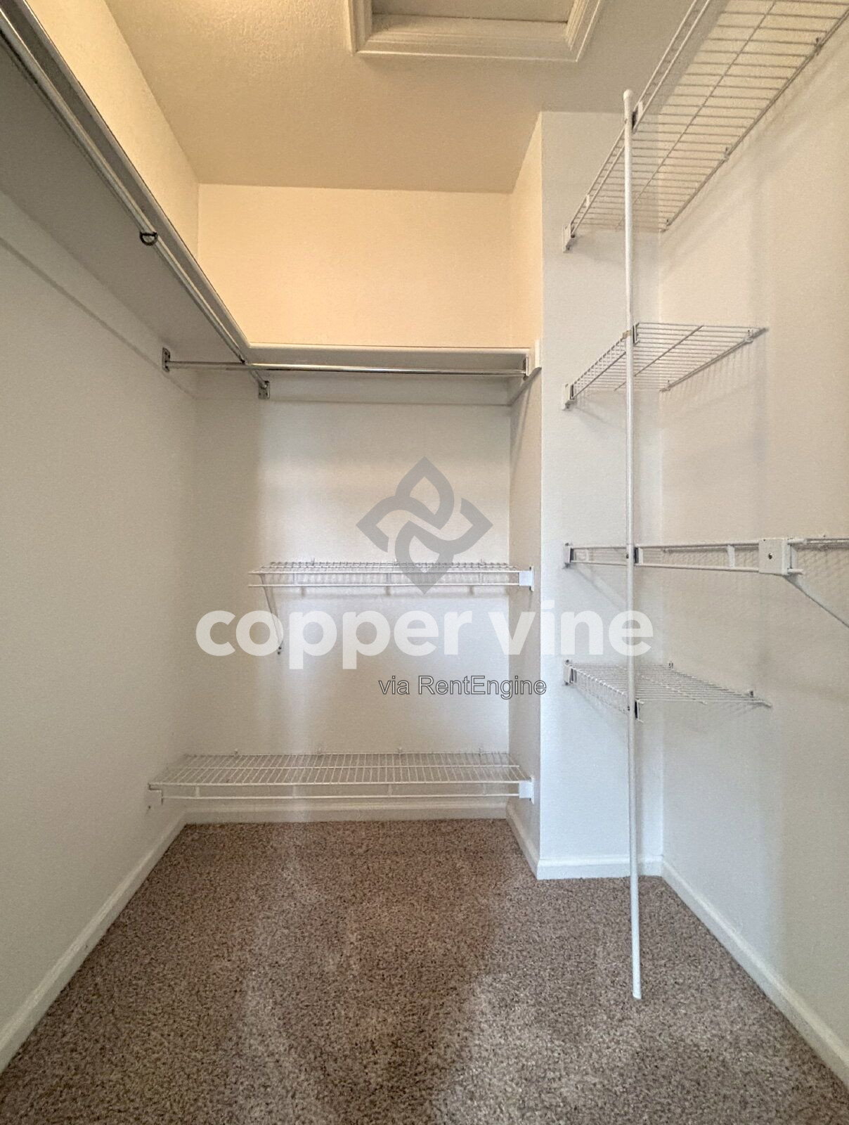 Gallery Image 20