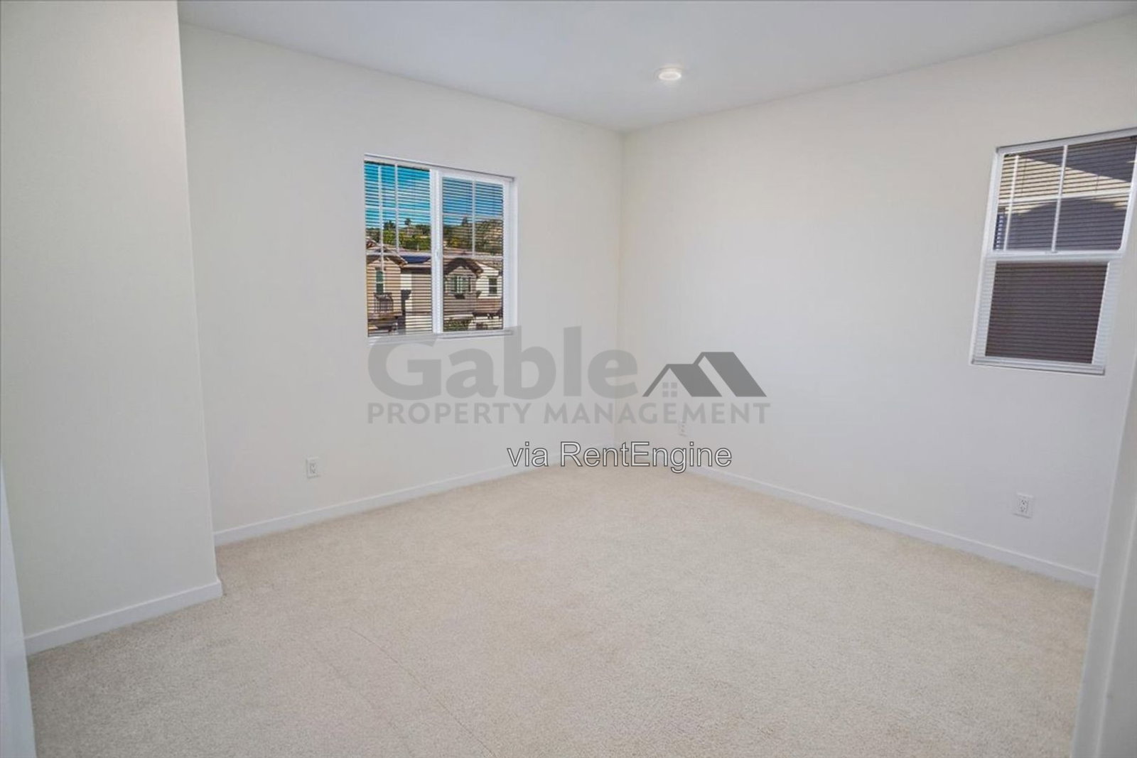 Gallery Image 16