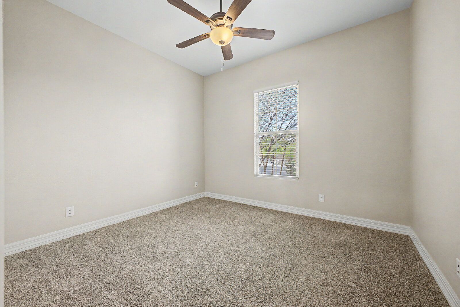 Gallery Image 29