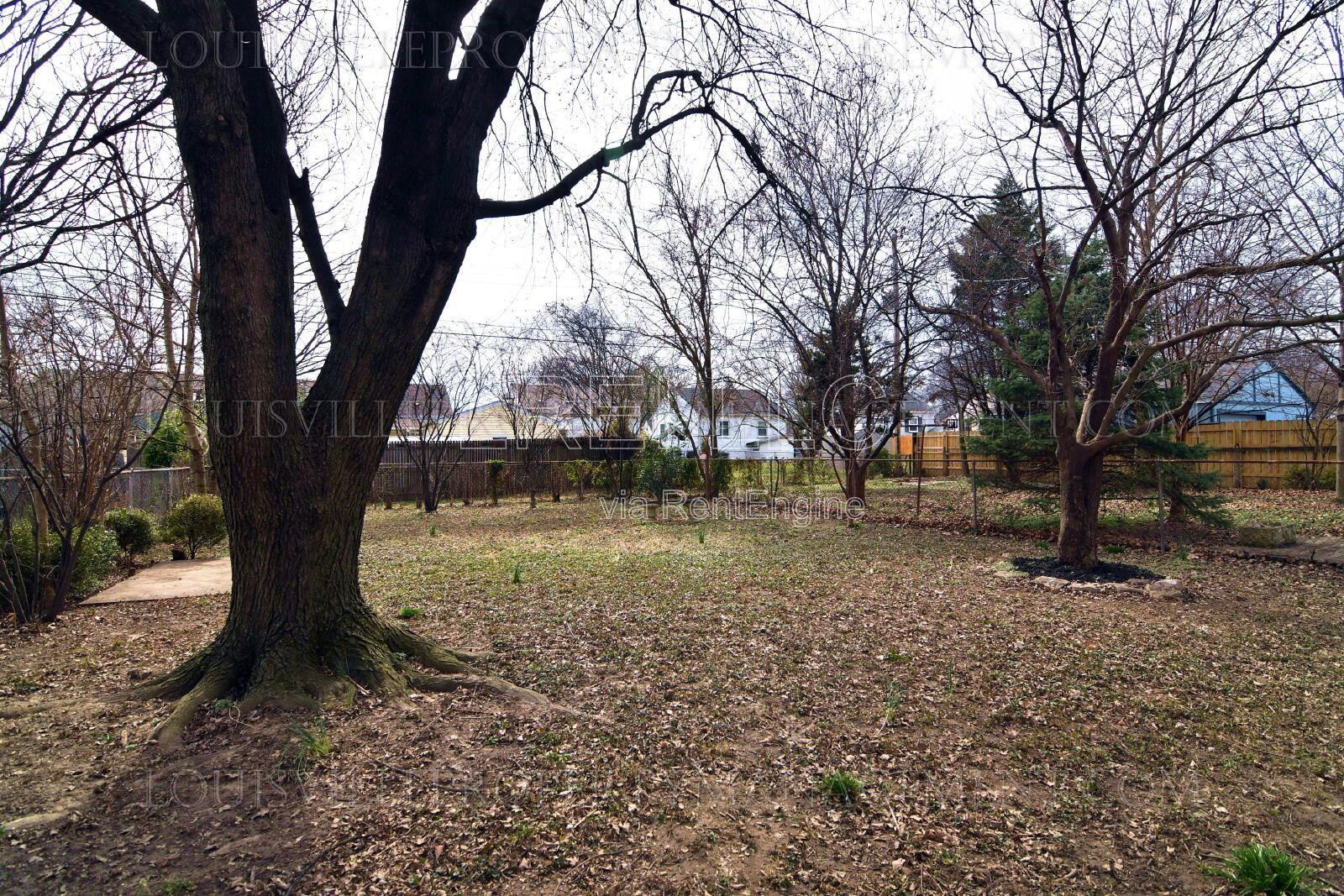 Gallery Image 16