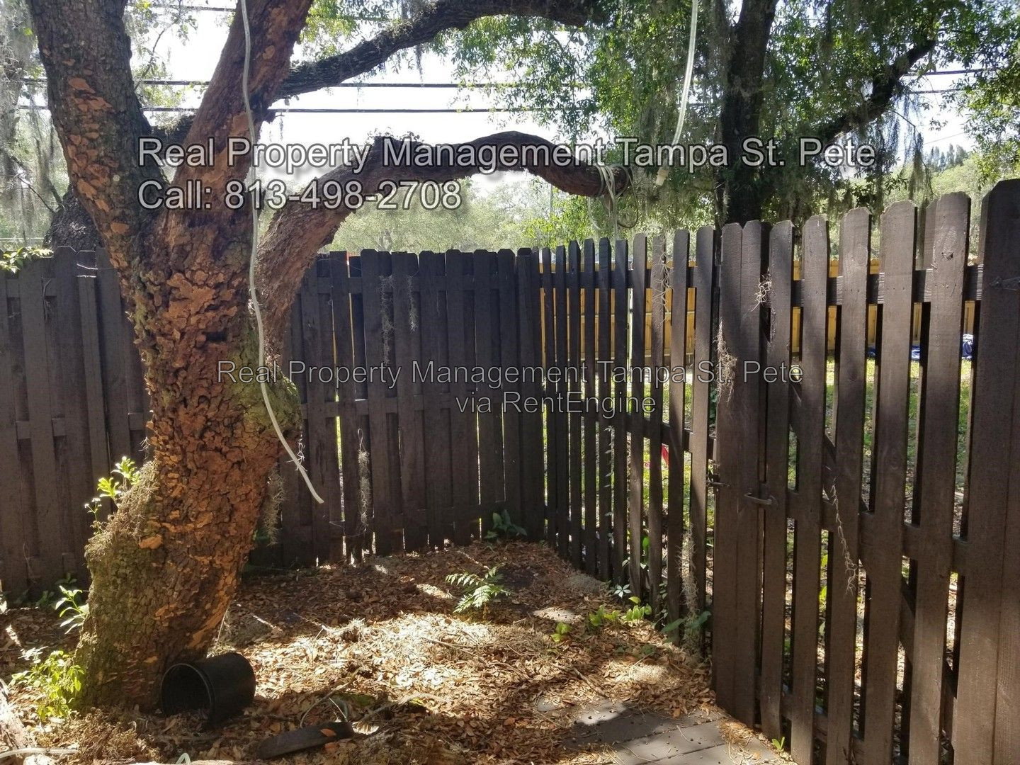 Gallery Image 16