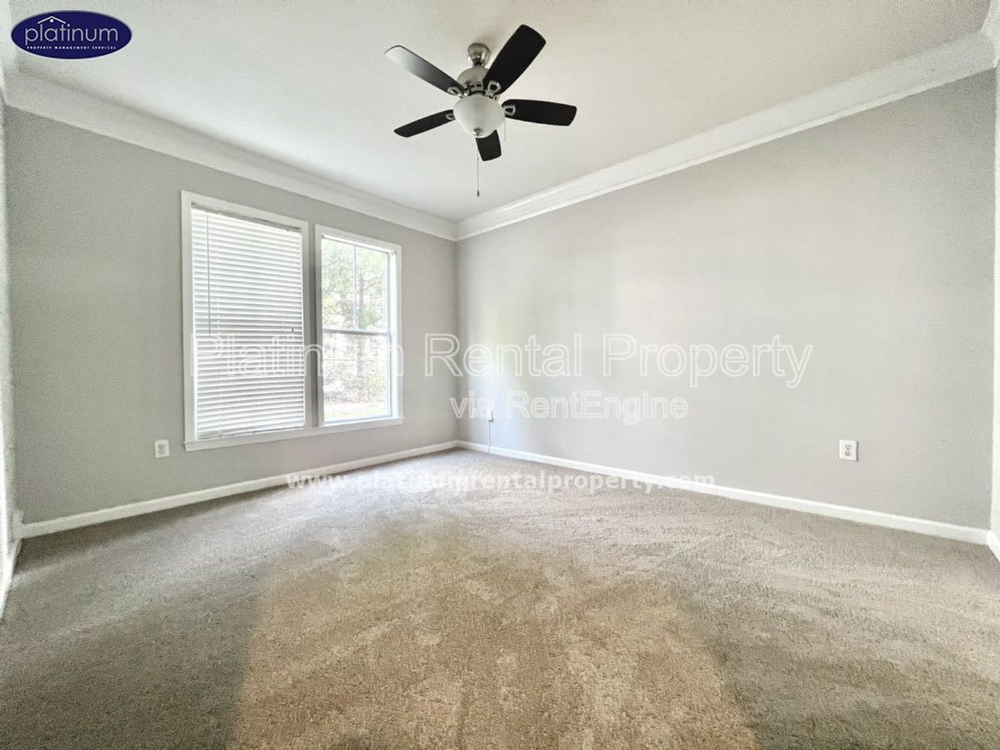 Gallery Image 20