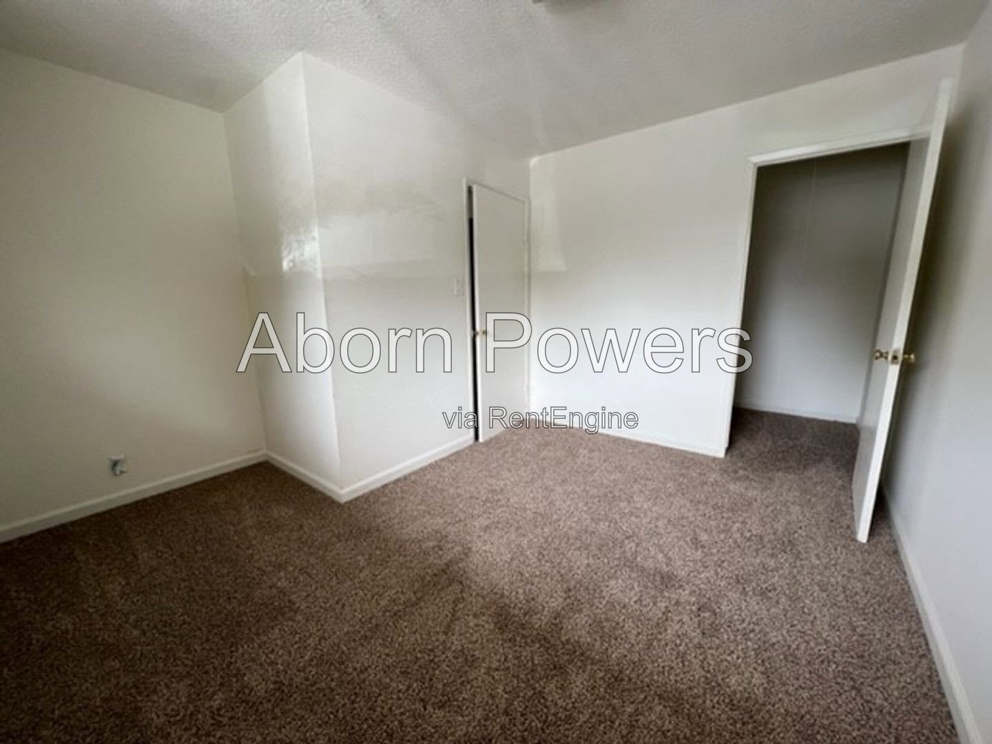 Gallery Image 0