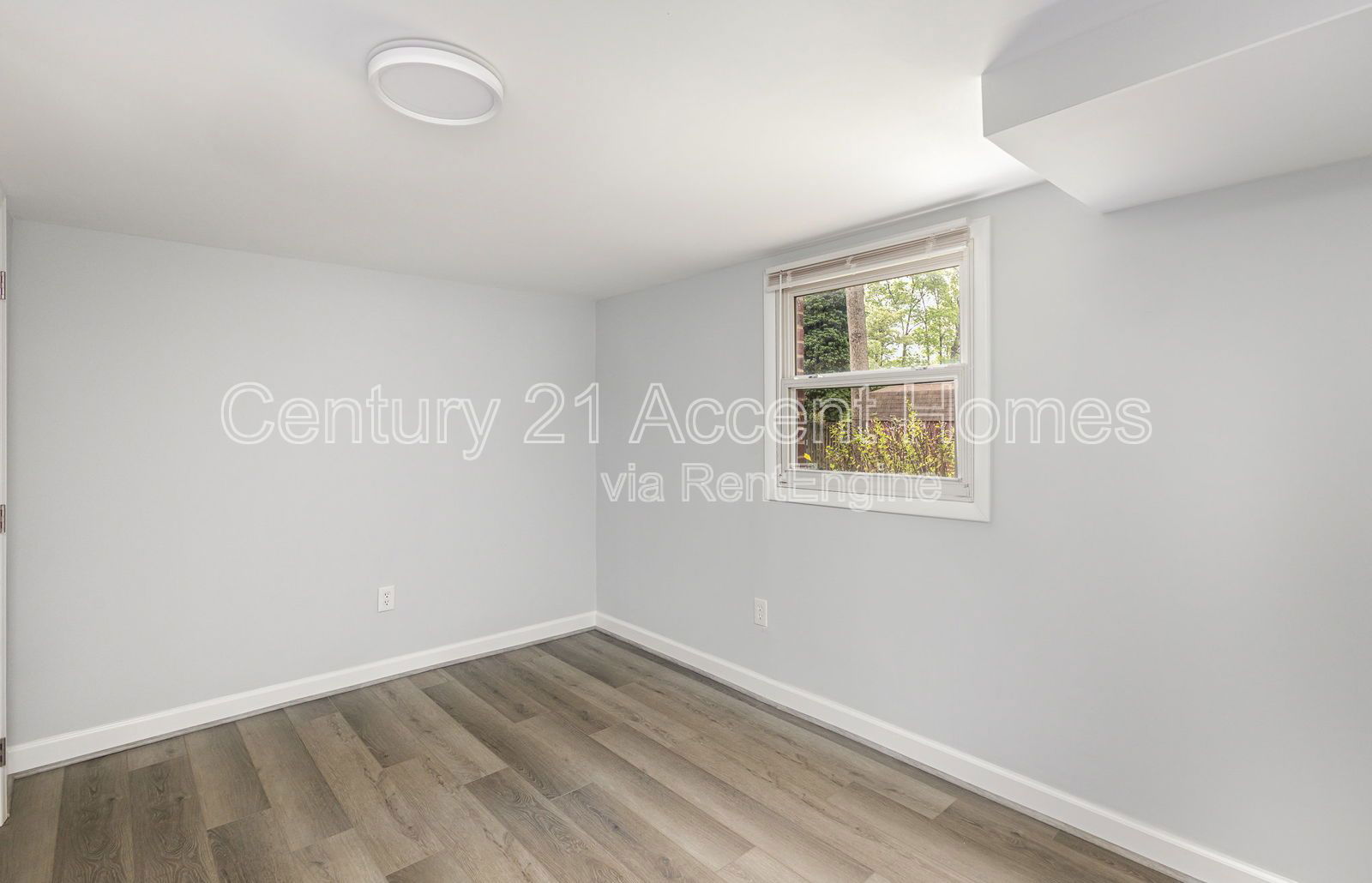 Gallery Image 18