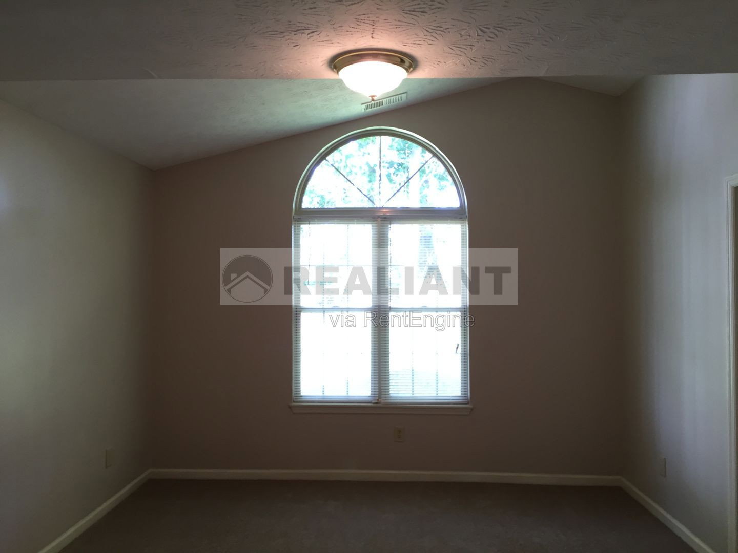 Gallery Image 28