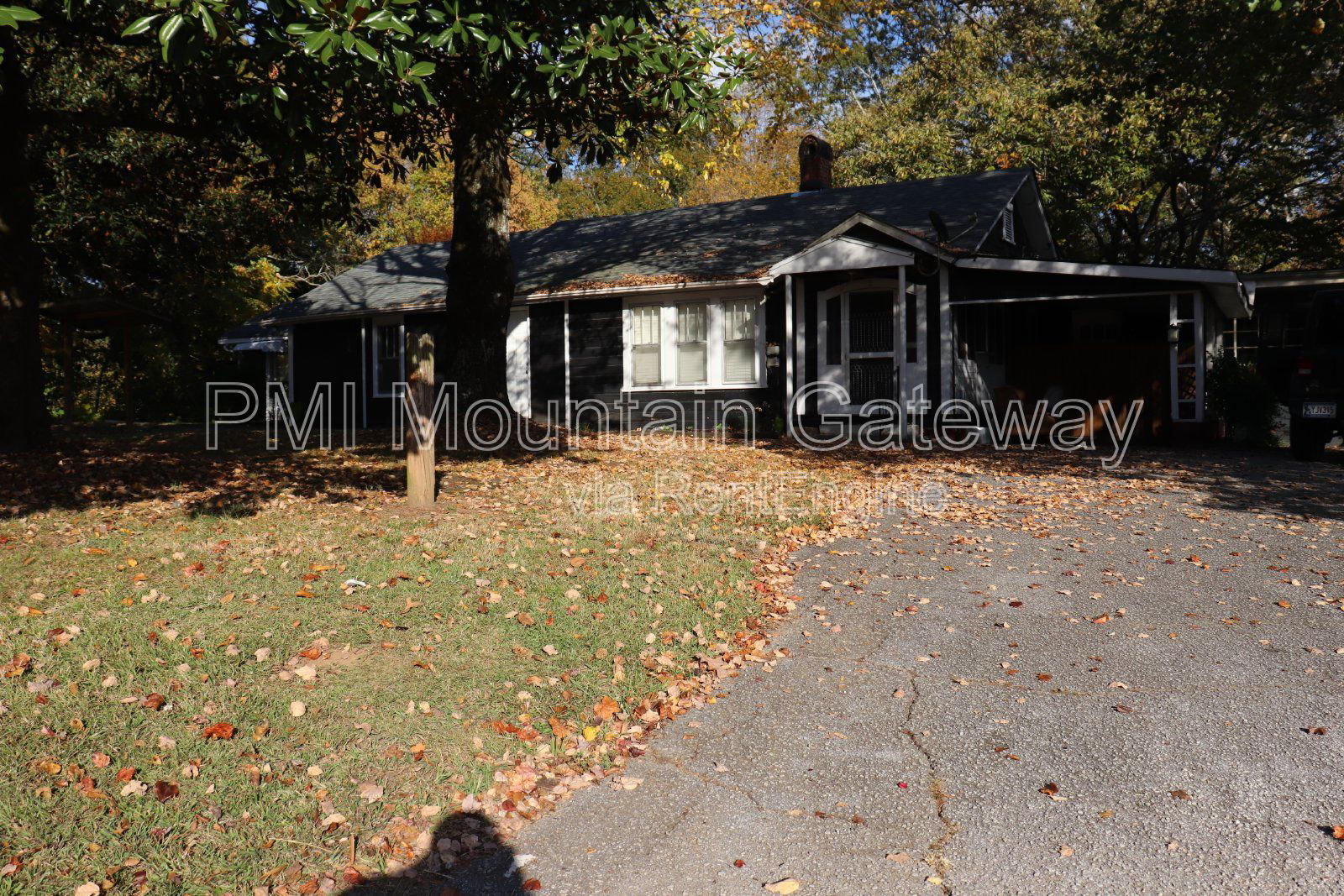 Gallery Image 0