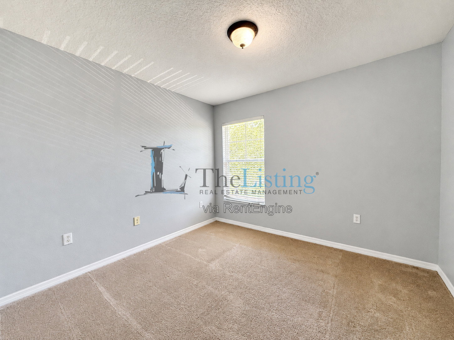Gallery Image 20