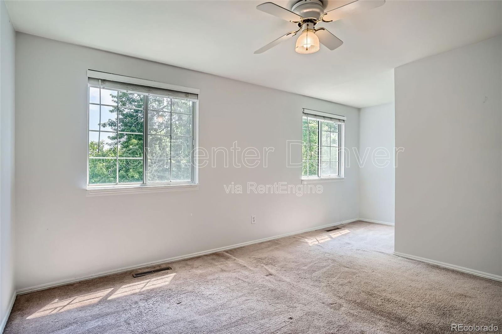 Gallery Image 19