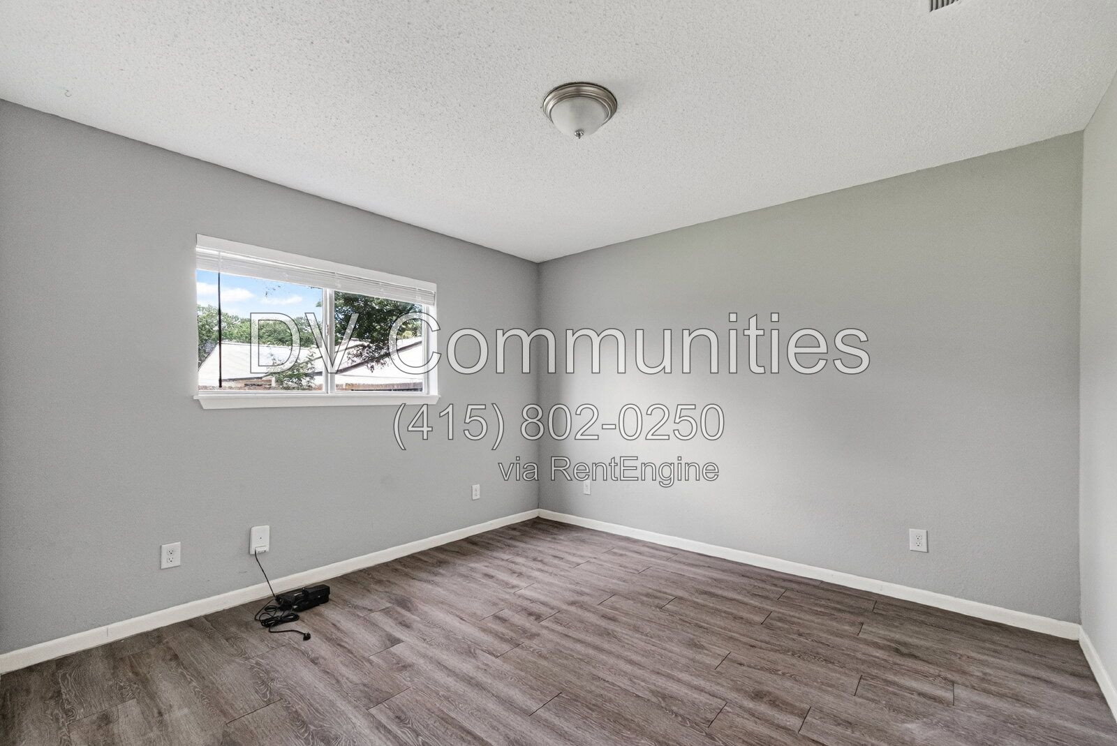 Gallery Image 19