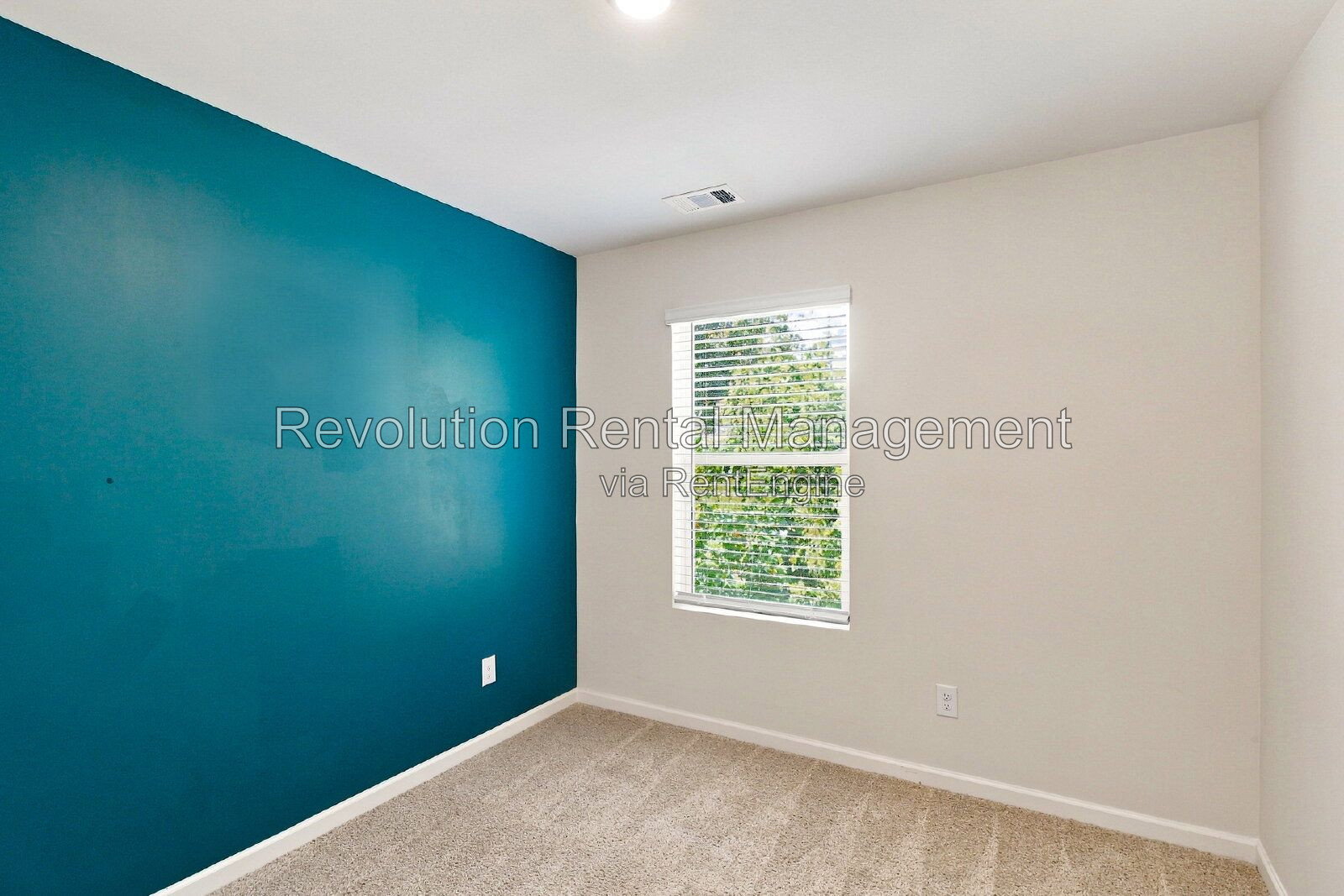 Gallery Image 31