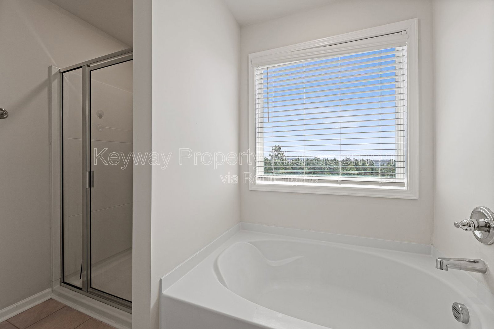 Gallery Image 16