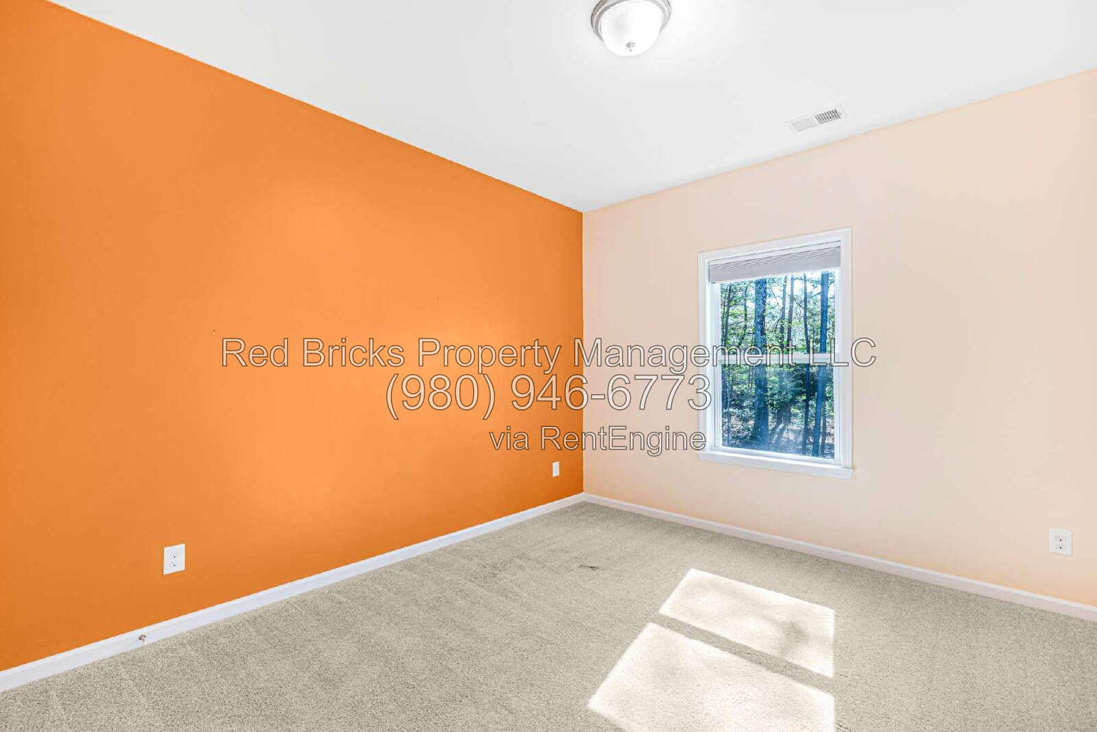 Gallery Image 19