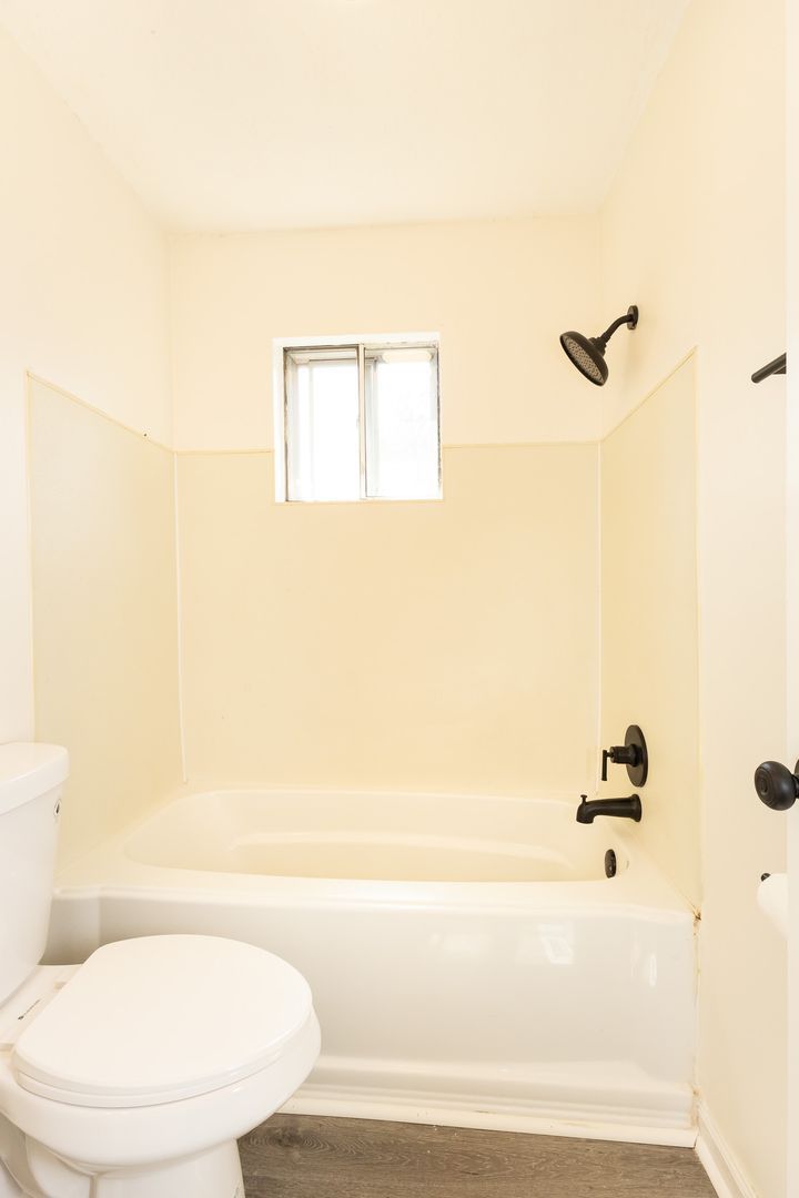 Gallery Image 11