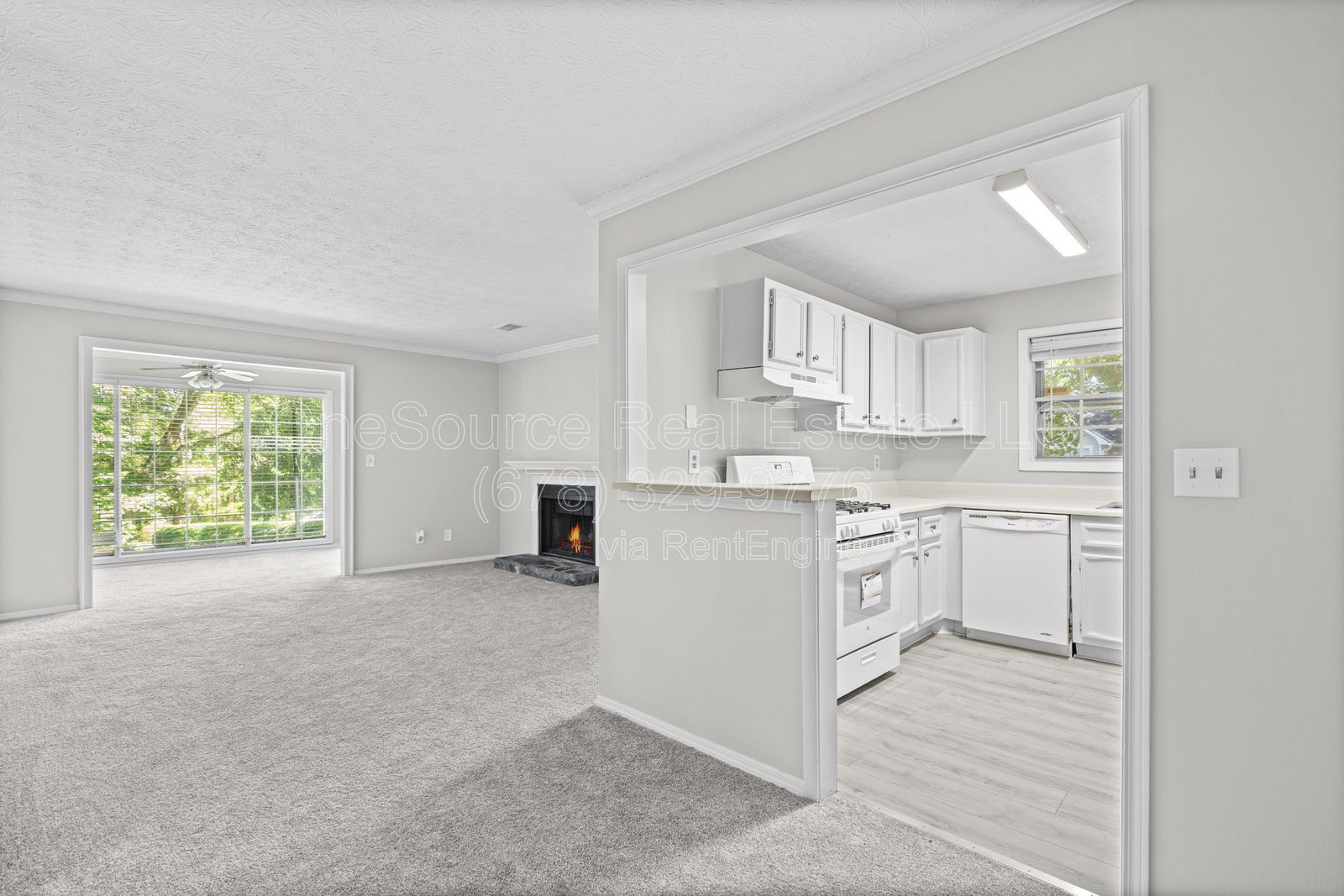 Gallery Image 11