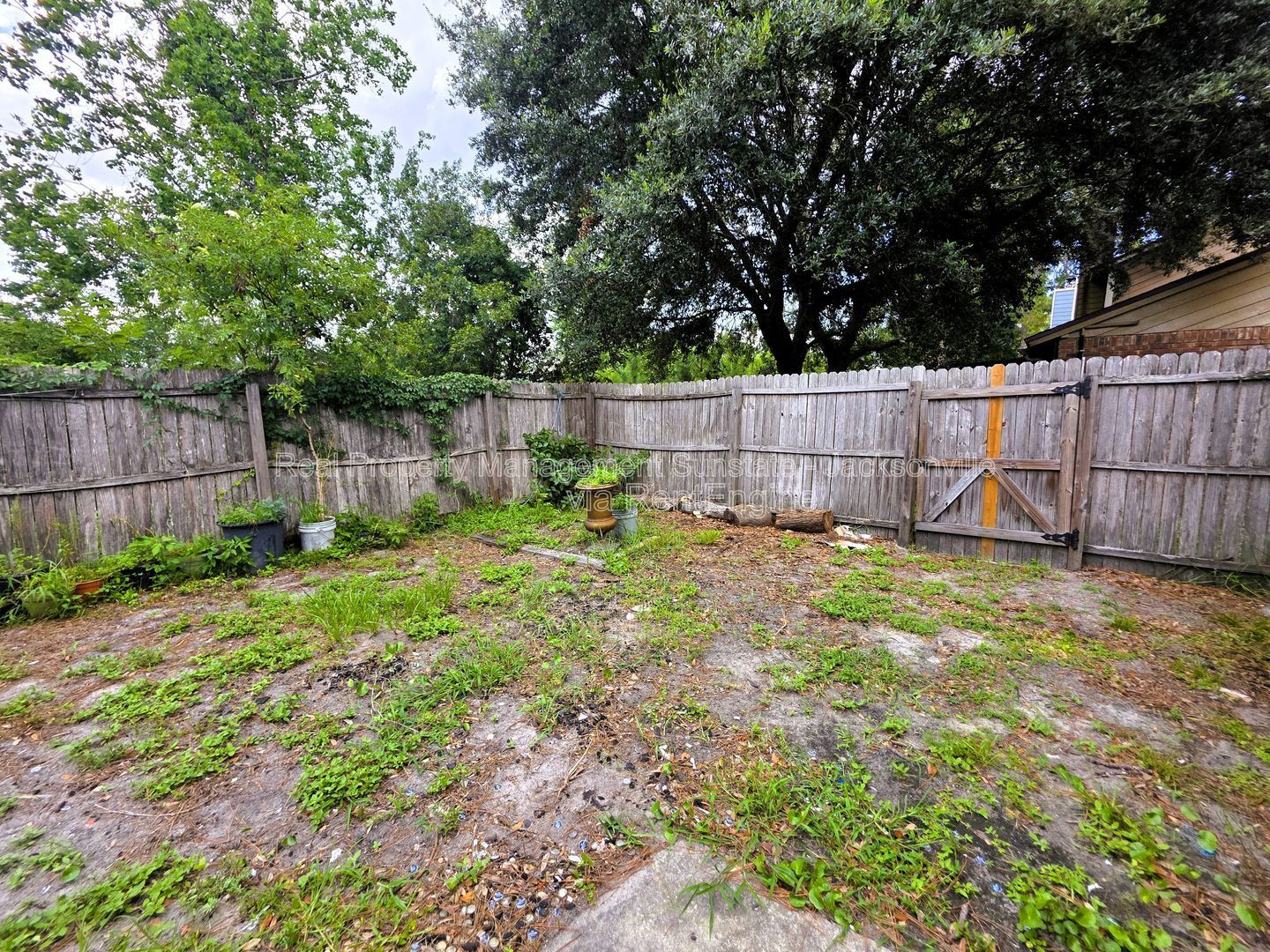 Gallery Image 17