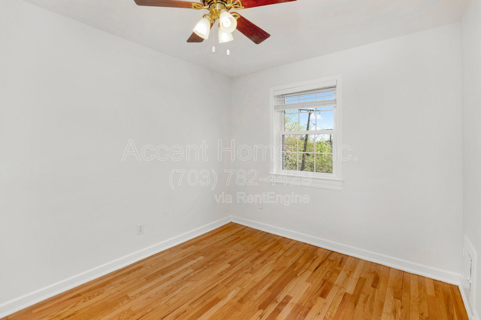 Gallery Image 18