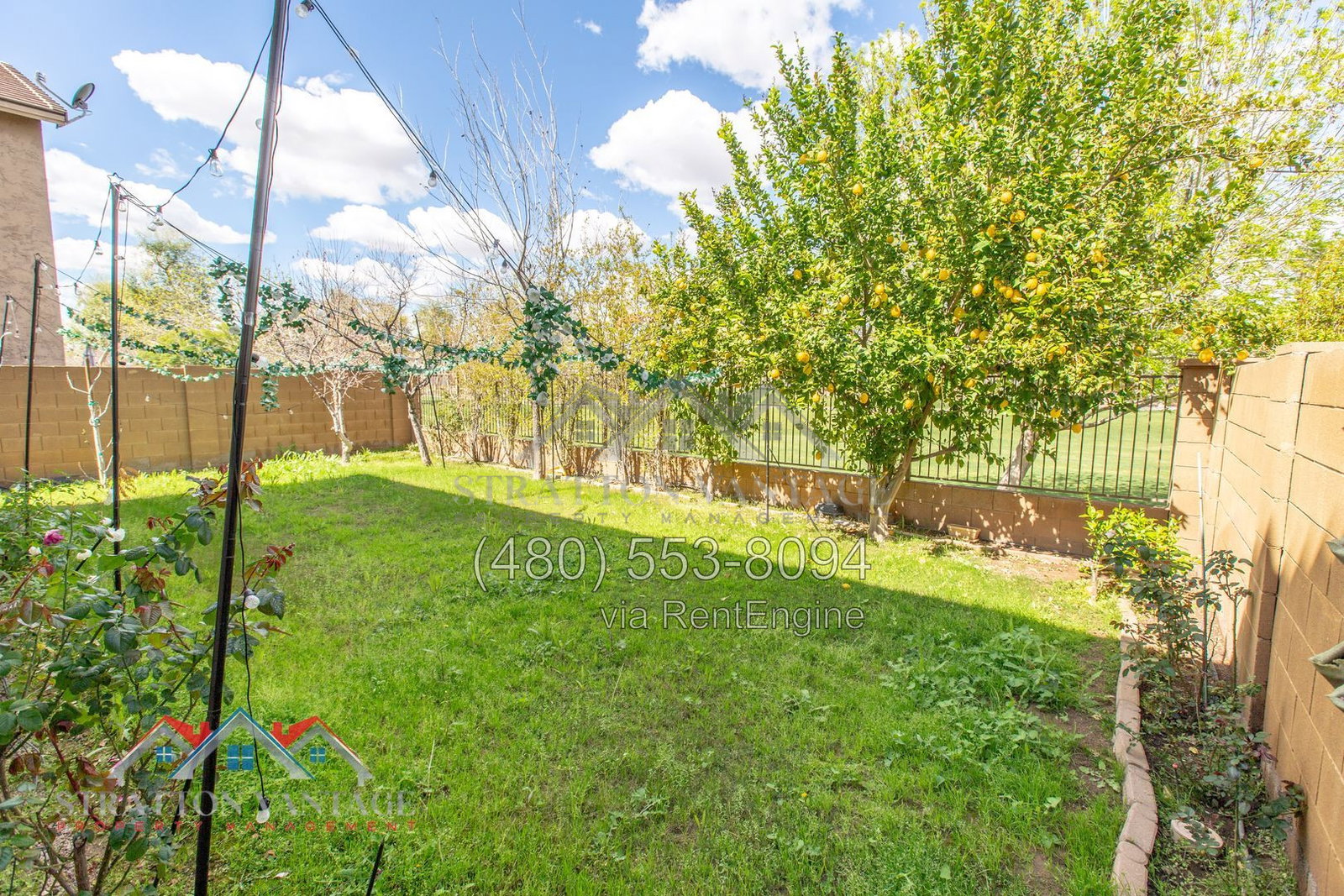 Gallery Image 55