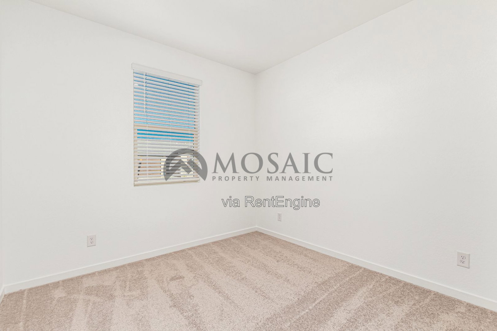 Gallery Image 25