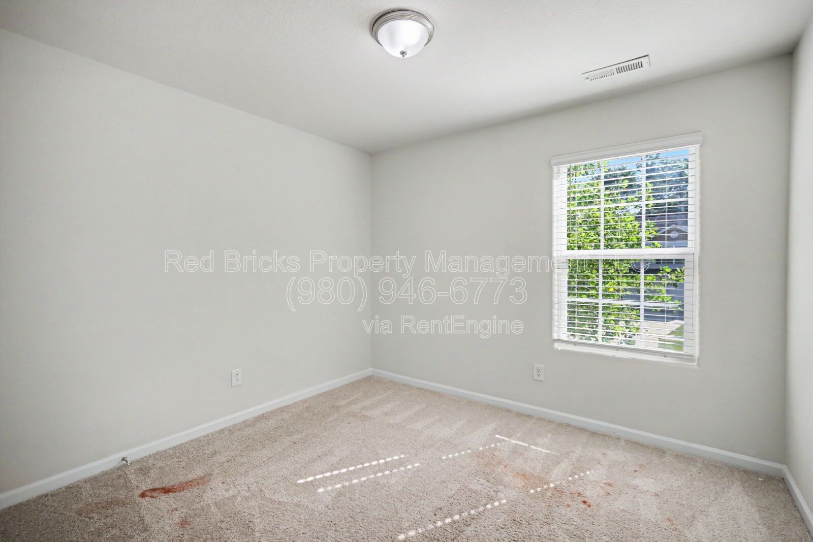 Gallery Image 20