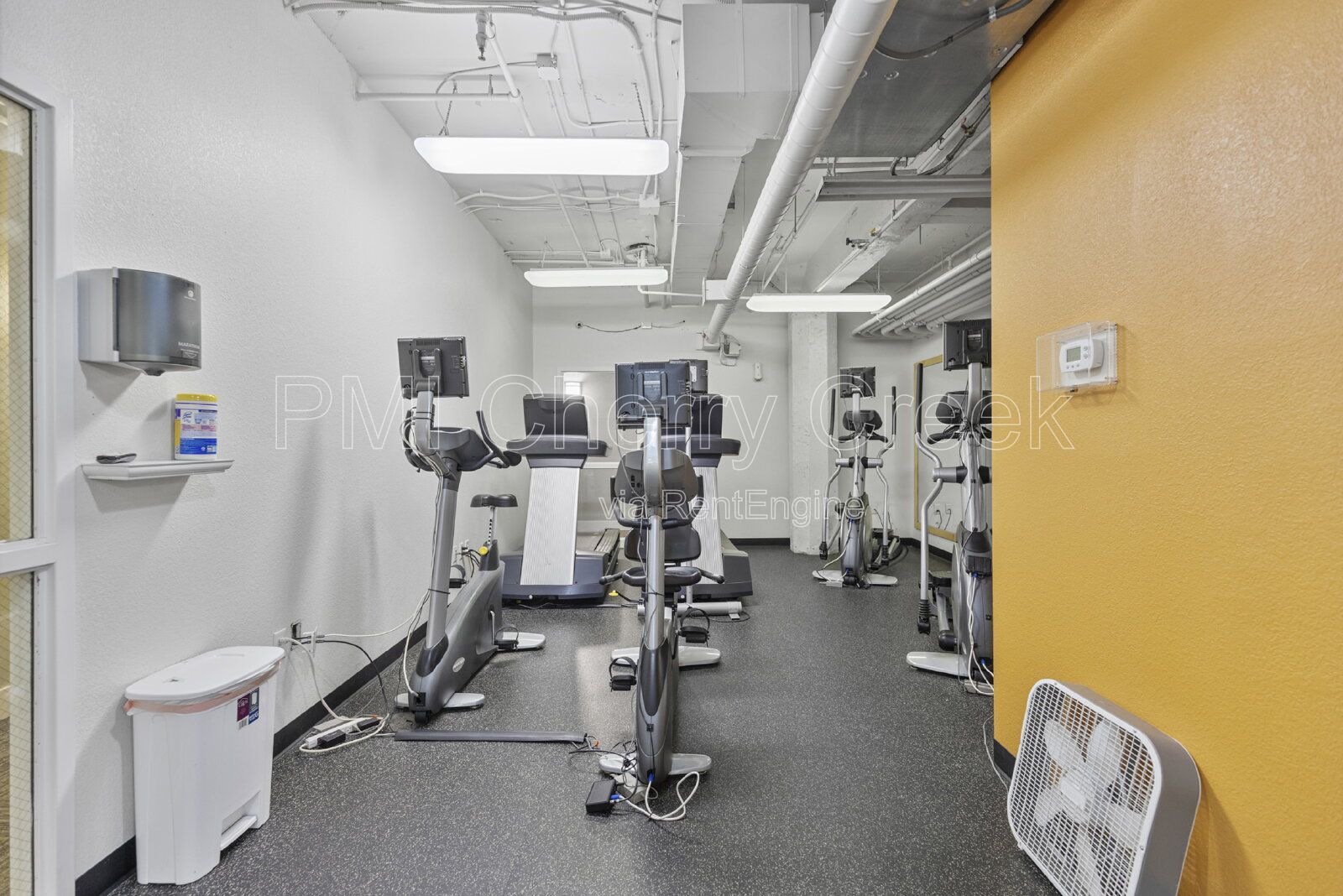 Gallery Image 17