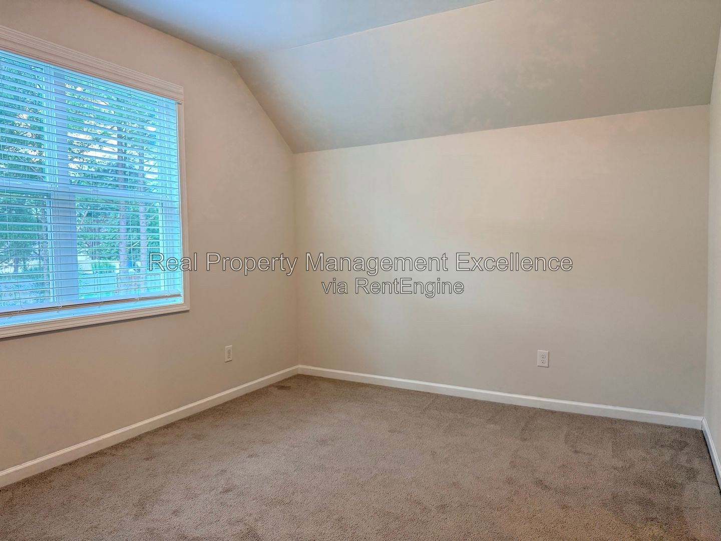 Gallery Image 48