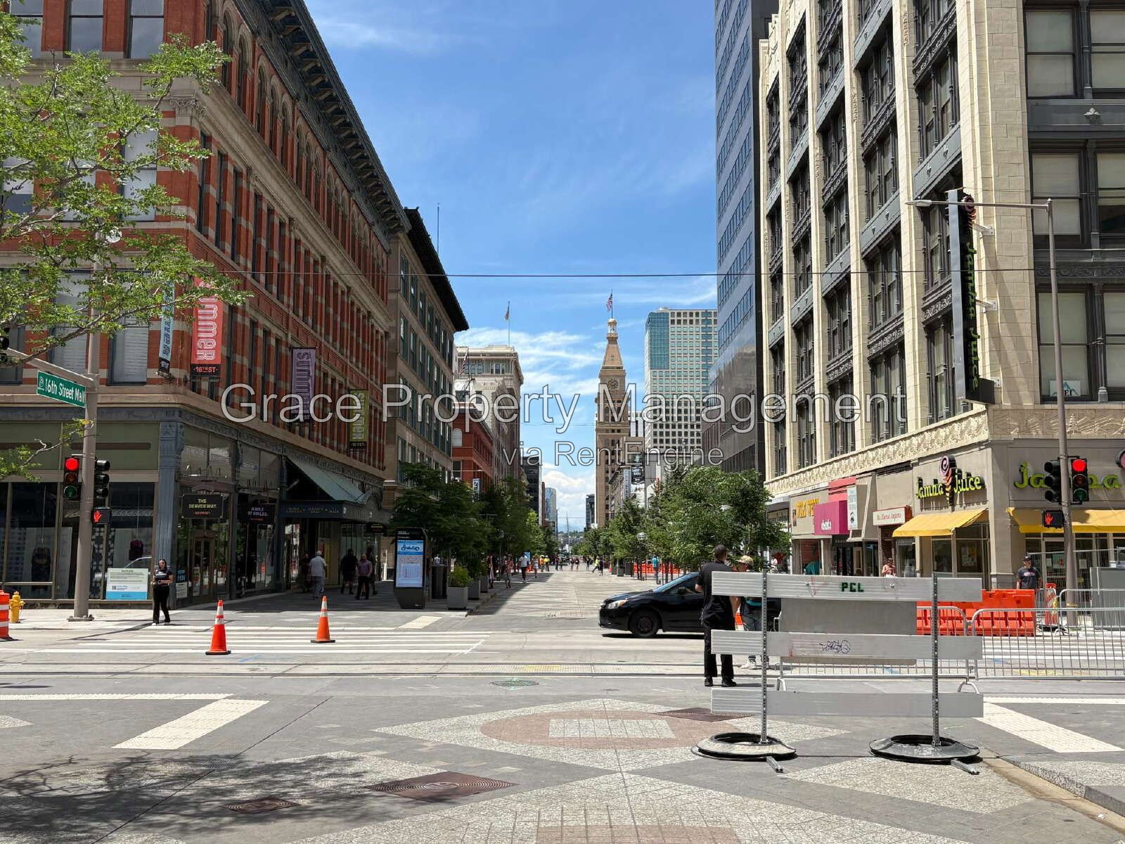 Gallery Image 16