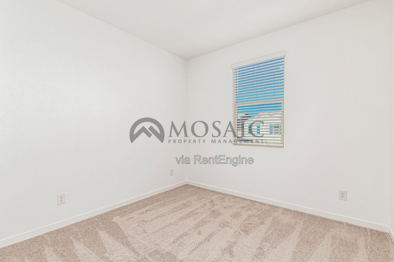 Gallery Image 21