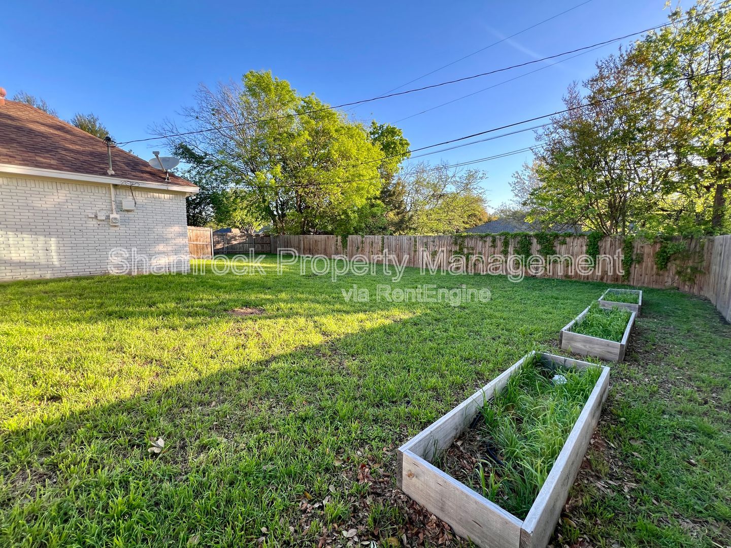 Gallery Image 16