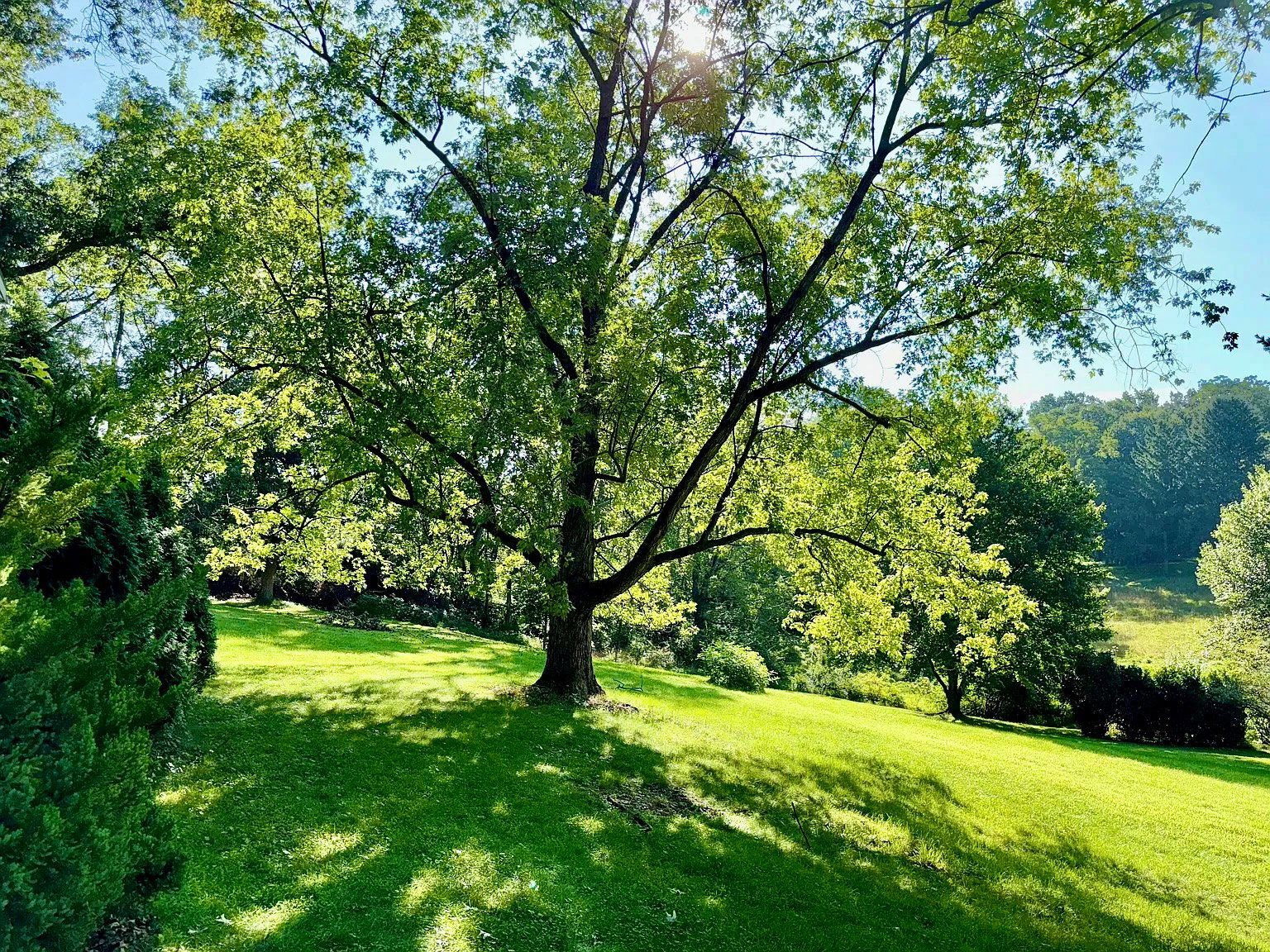 Gallery Image 17