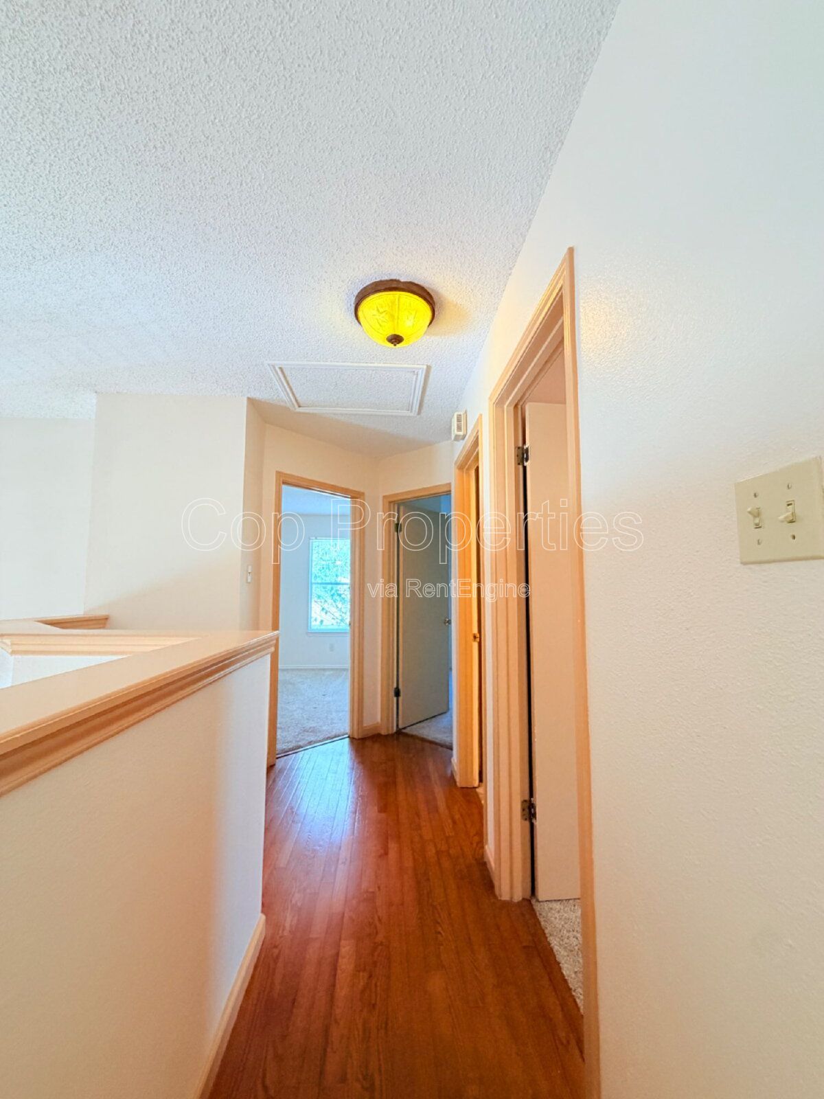 Gallery Image 14
