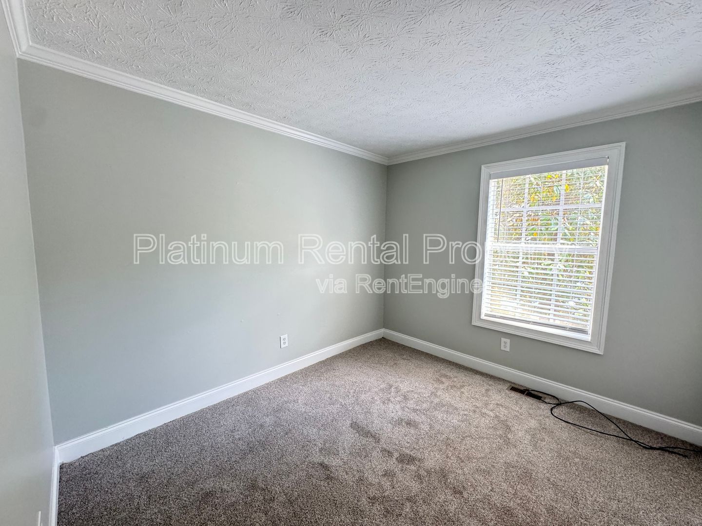 Gallery Image 20