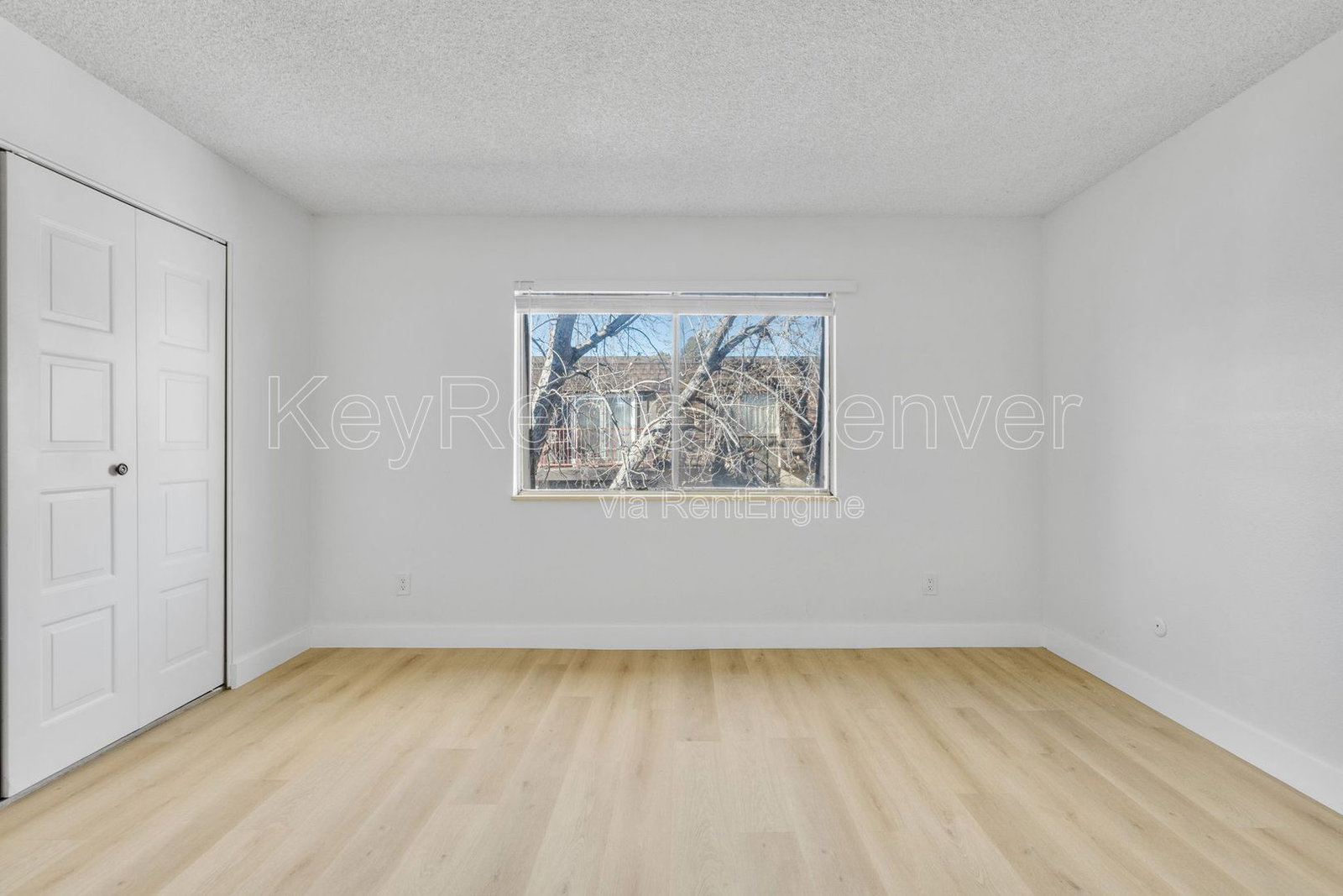 Gallery Image 25